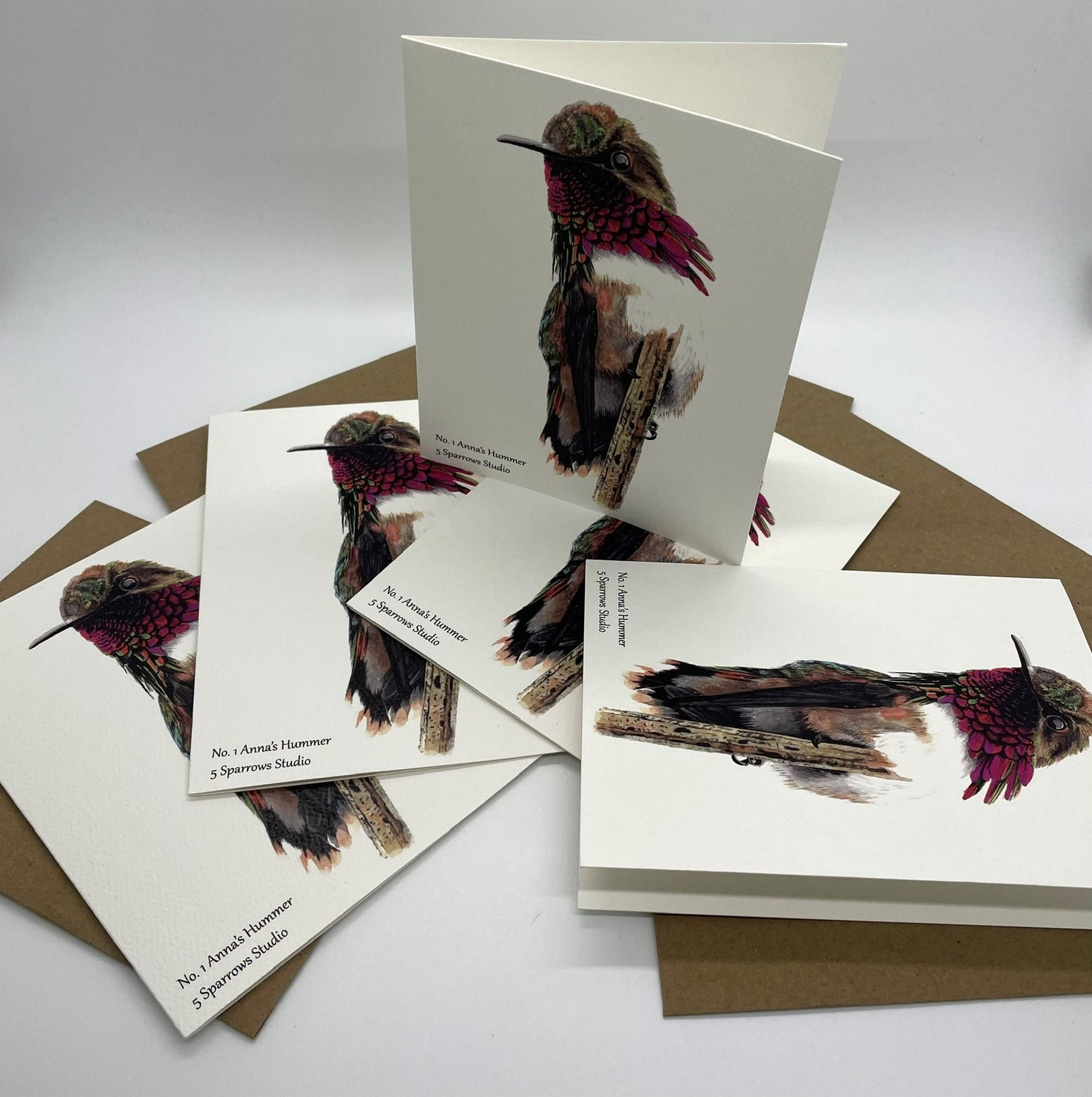 Anna's Hummingbird - Bird Art by KB - Notecard Set