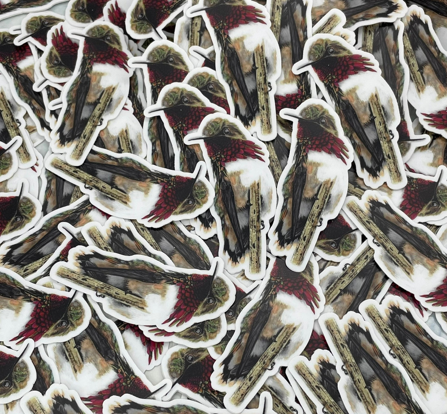 Anna's Hummingbird - Bird Art by KB - Sticker