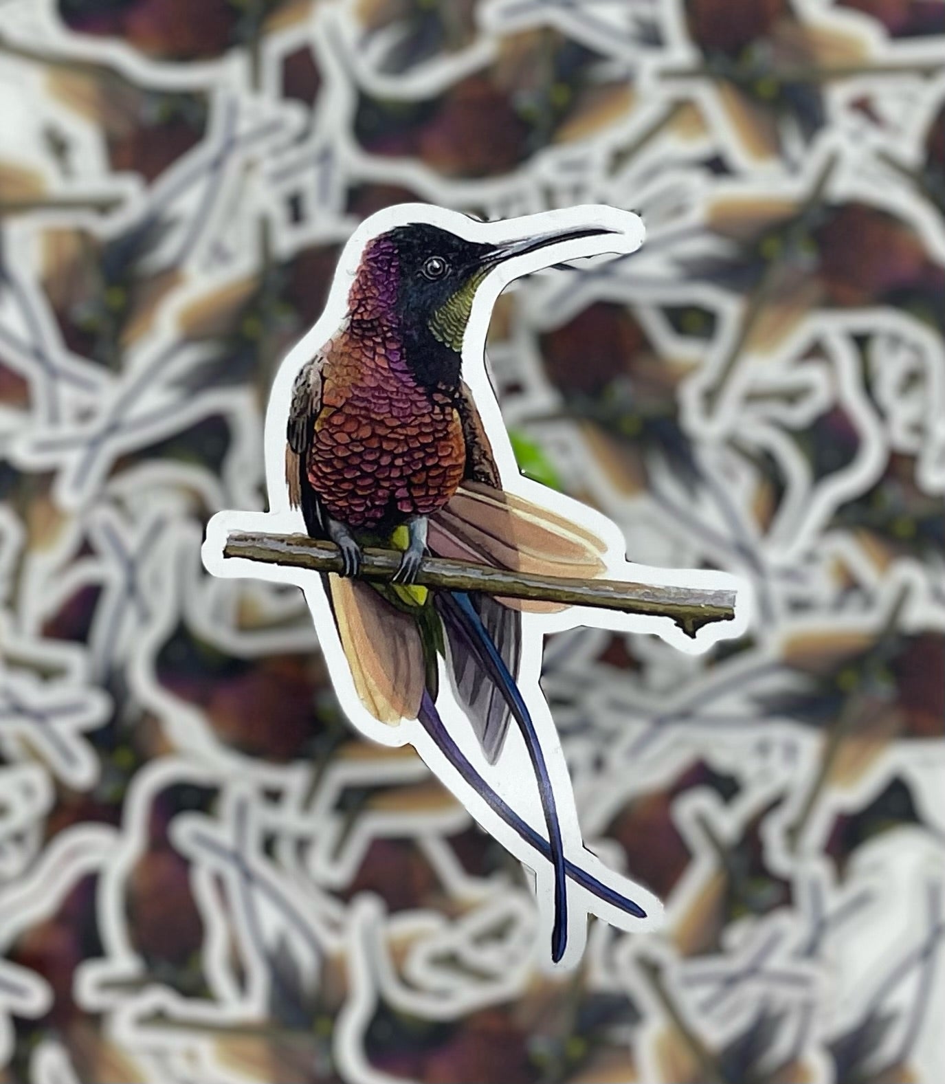 Crimson Topaz Hummingbird - Bird Art by KB - Magnet