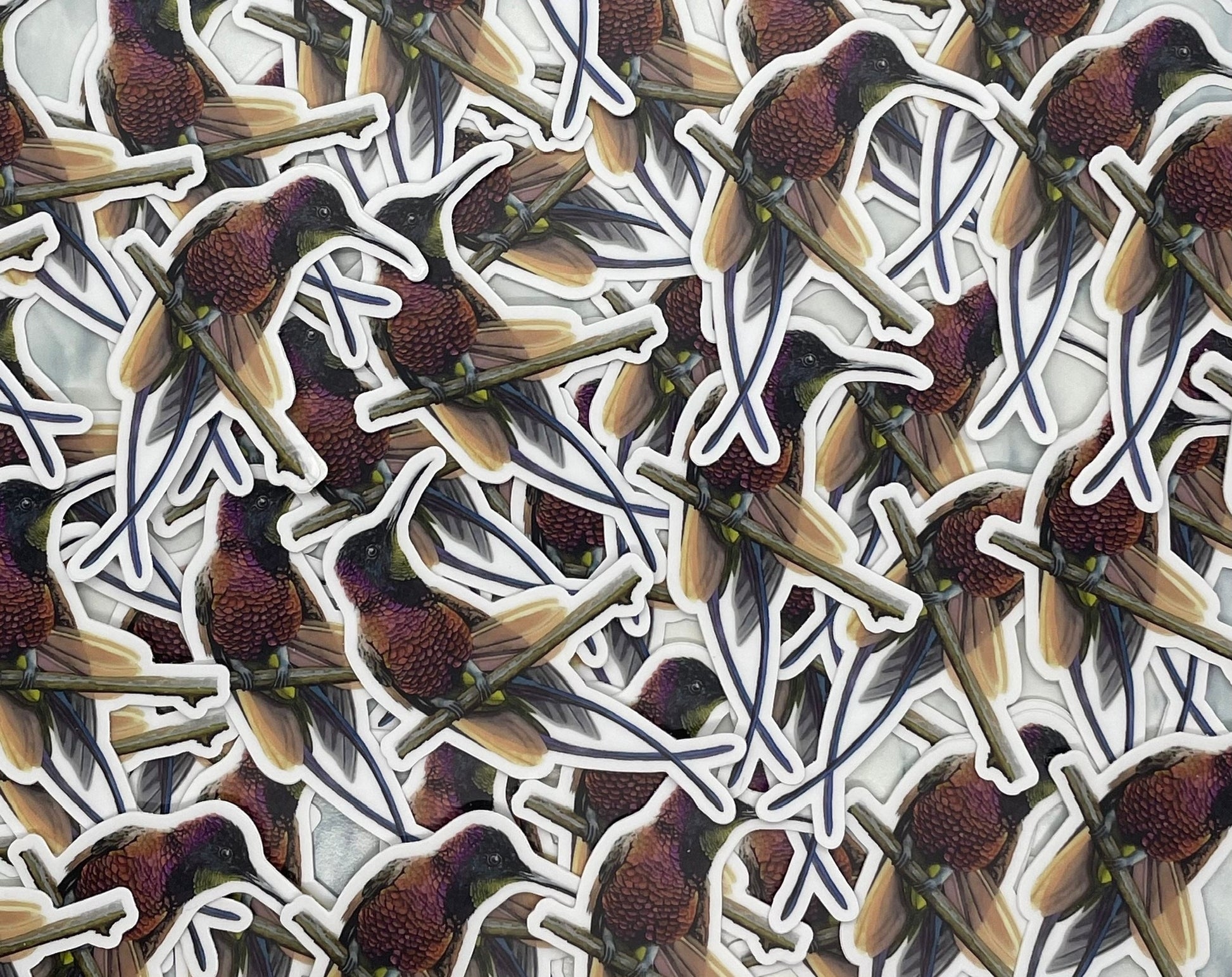 Crimson Topaz Hummingbird - Bird Art by KB - Sticker