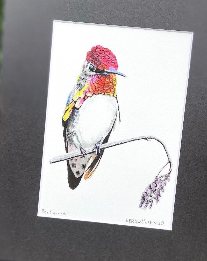 Bee Hummer - Bird Art by KB - Giclee Print with Black Mat