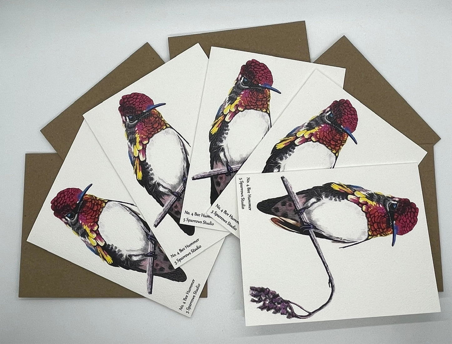 Bee Hummer - Bird Art by KB - Notecard Set