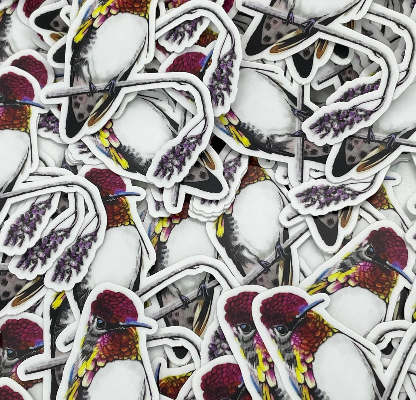 Bee Hummer - Bird Art by KB - Sticker