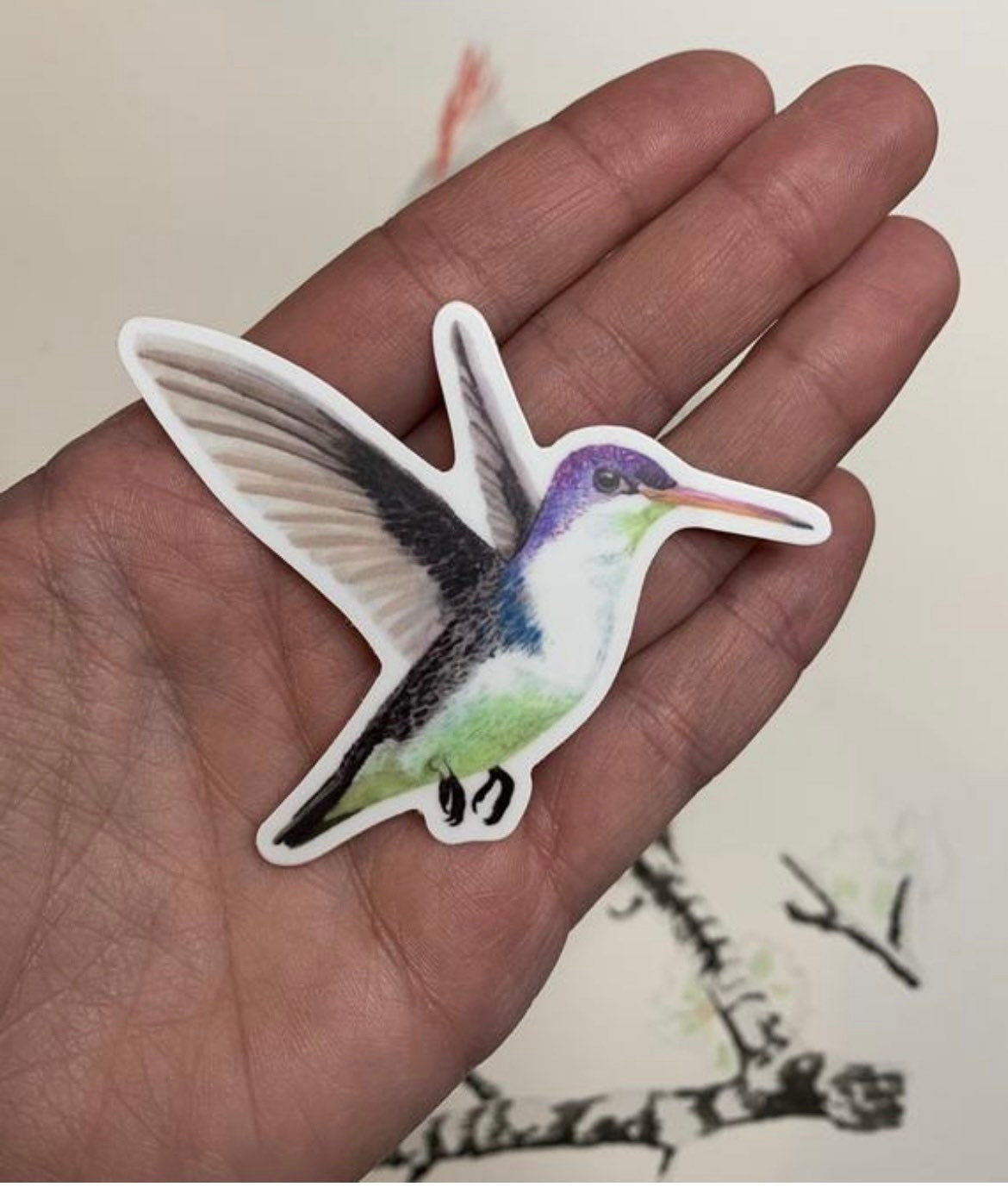 Violet-Crowned Hummingbird - Bird Art by KB