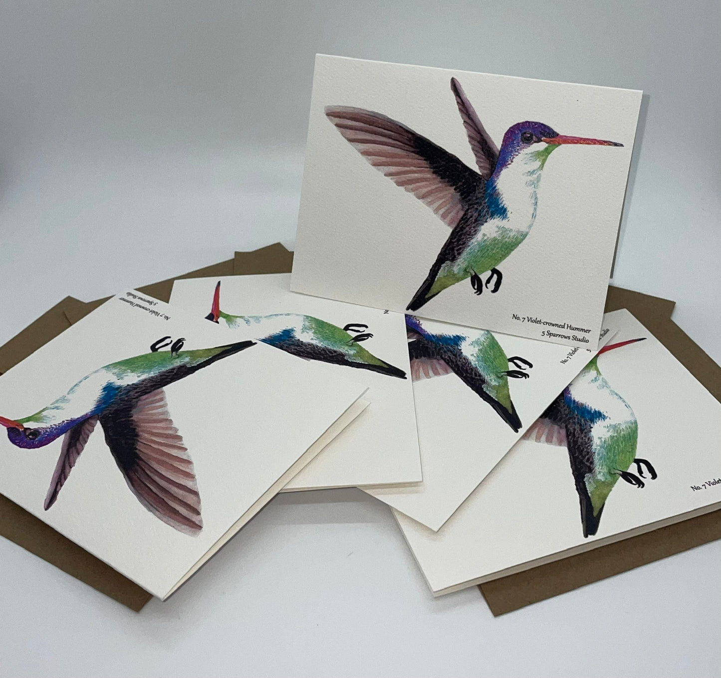 Violet-Crowned Hummingbird - Bird Art by KB