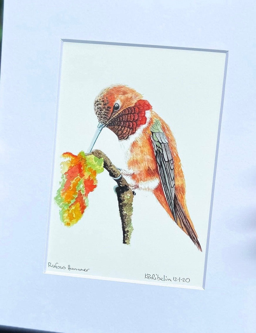 Rufous Hummingbird - Bird Art by KB - Giclee Print with White Mat