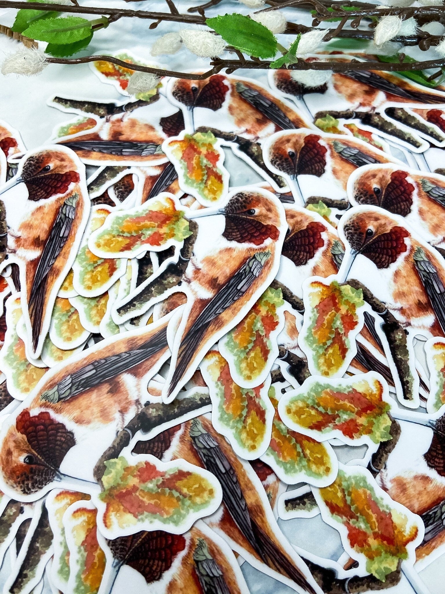 Rufous Hummingbird - Bird Art by KB - Sticker