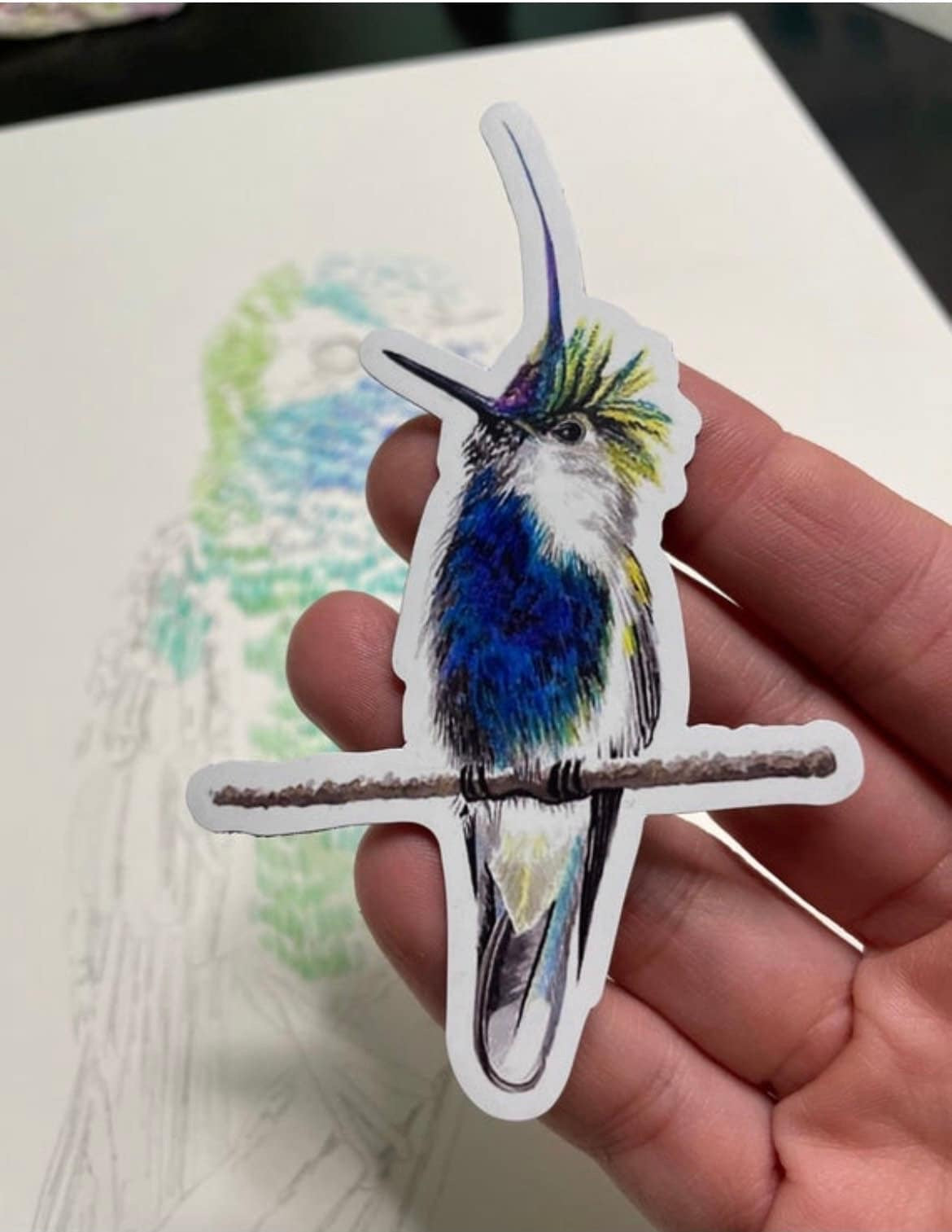 Violet-Crested Plovercrest - Bird Art by KB - Magnet