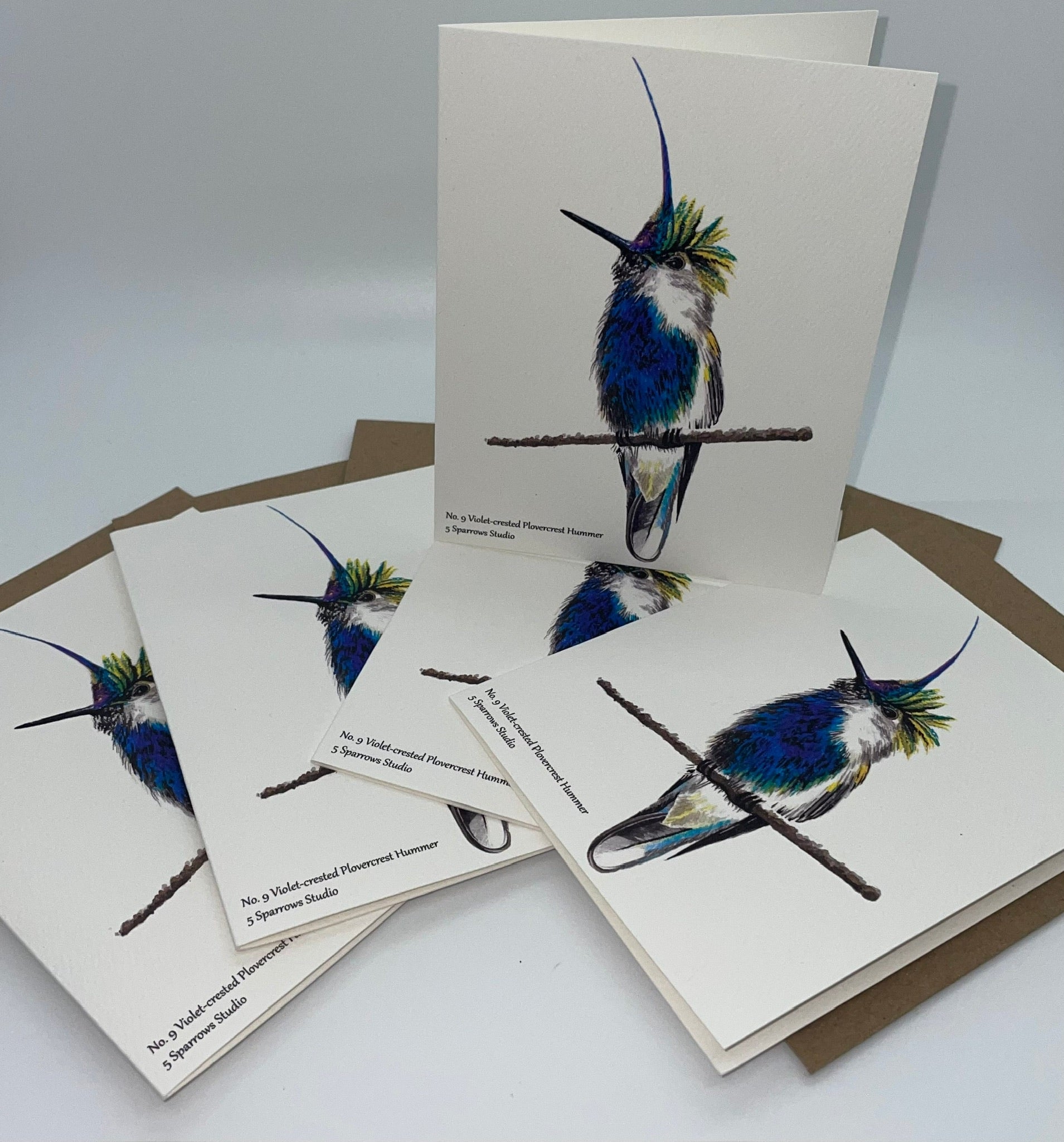 Violet-Crested Plovercrest - Bird Art by KB - Notecard Set