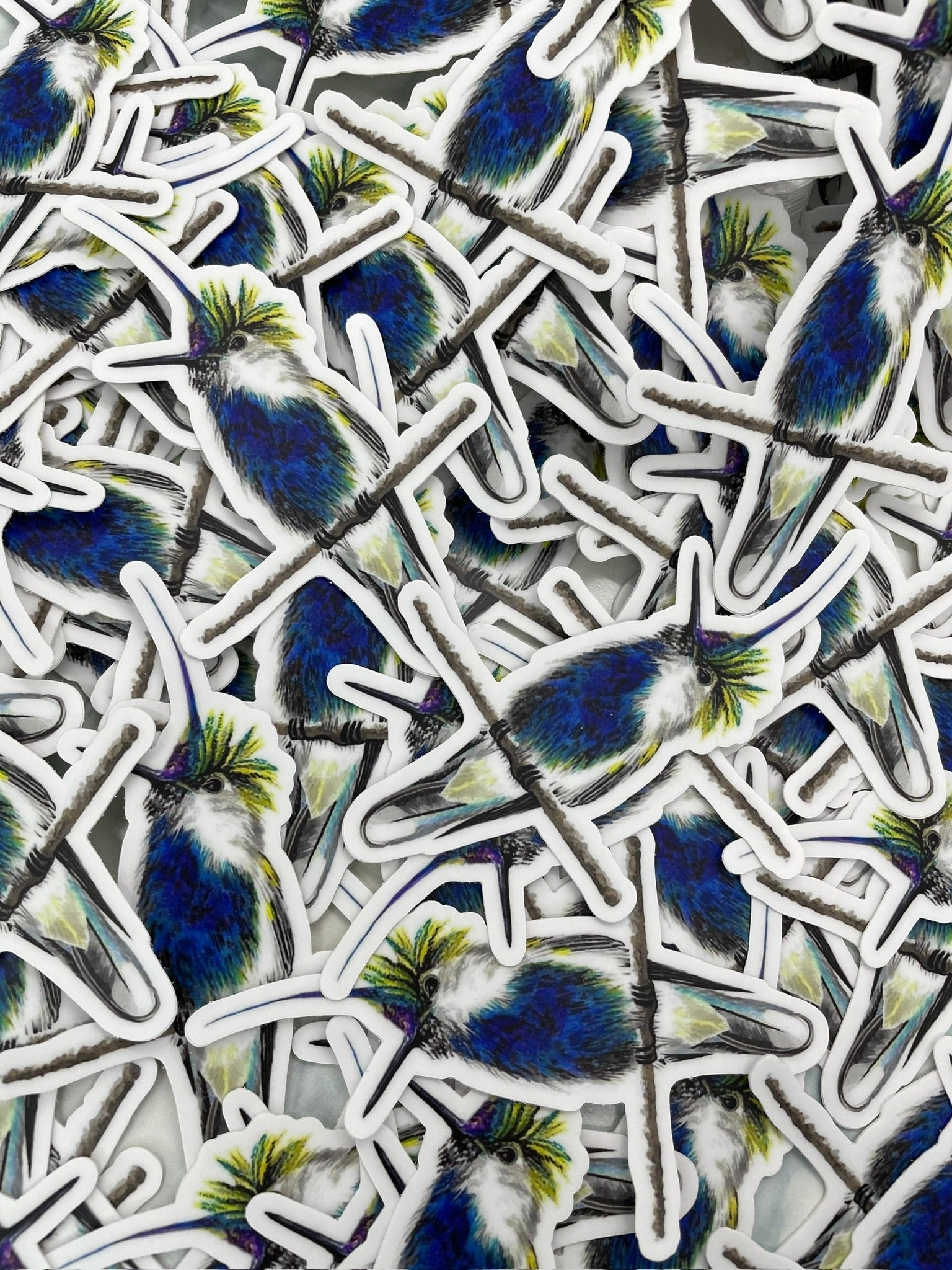 Violet-Crested Plovercrest - Bird Art by KB - Sticker