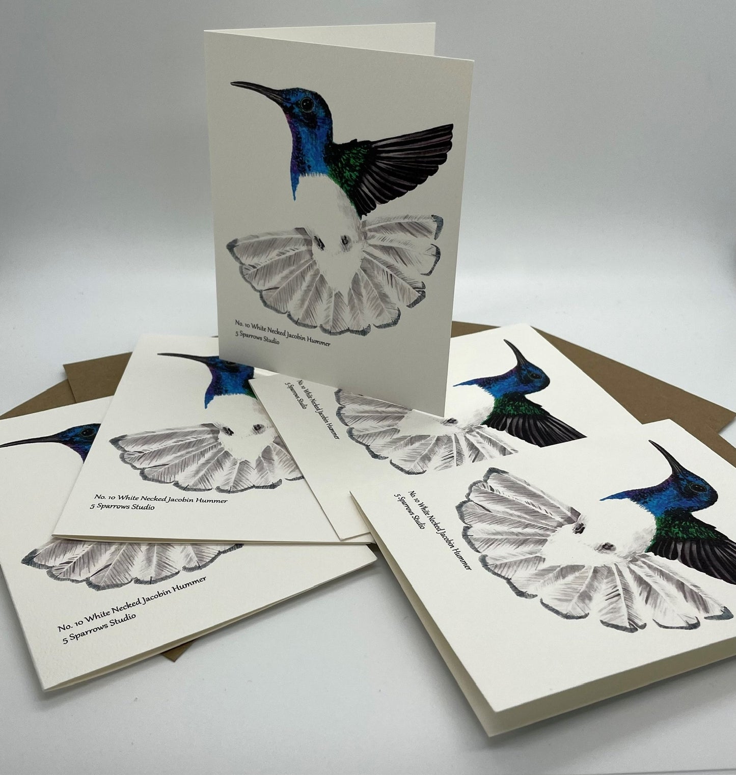 White-necked Jacobin - Bird Art by KB - Notecard Set