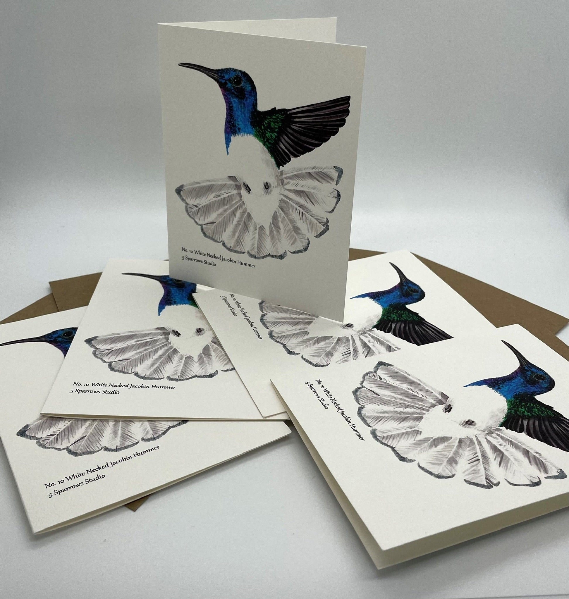 White-necked Jacobin - Bird Art by KB - Notecard Set