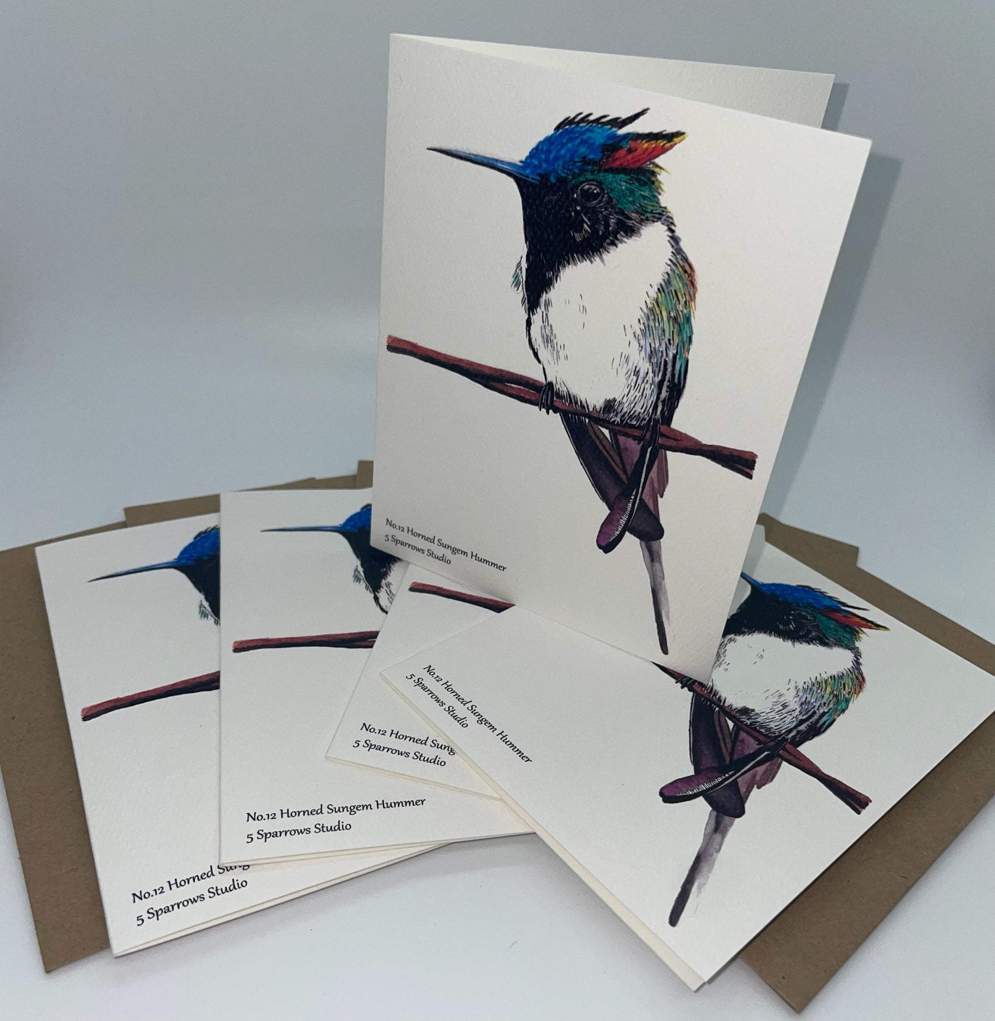 Horned Sungem - Bird Art by KB - Notecard Set
