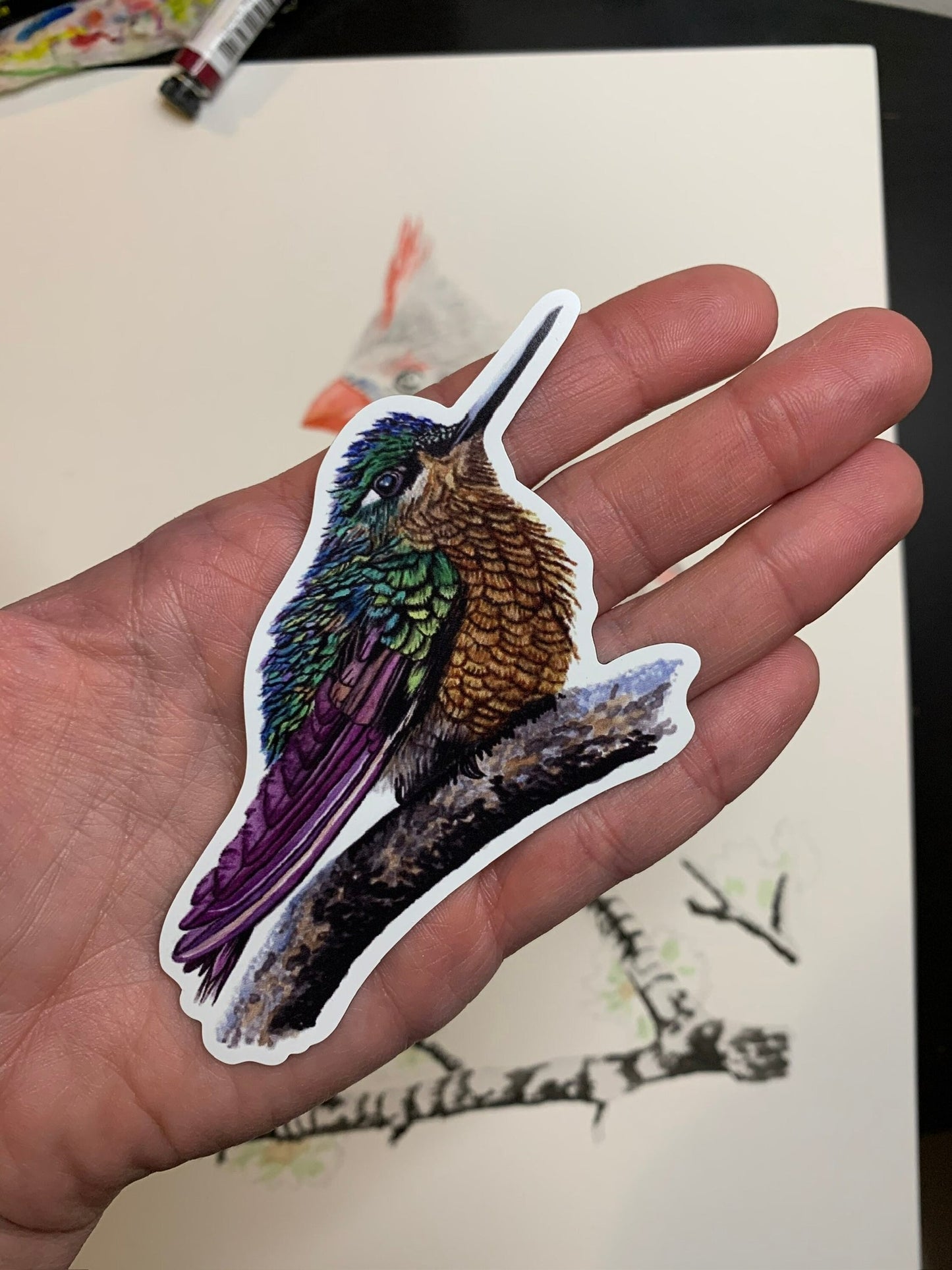 Brazilian Ruby - Bird Art by KB - Magnet