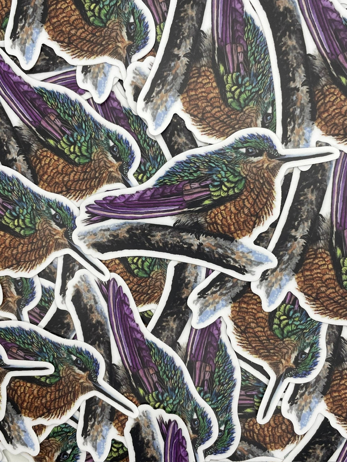 Brazilian Ruby - Bird Art by KB - Sticker