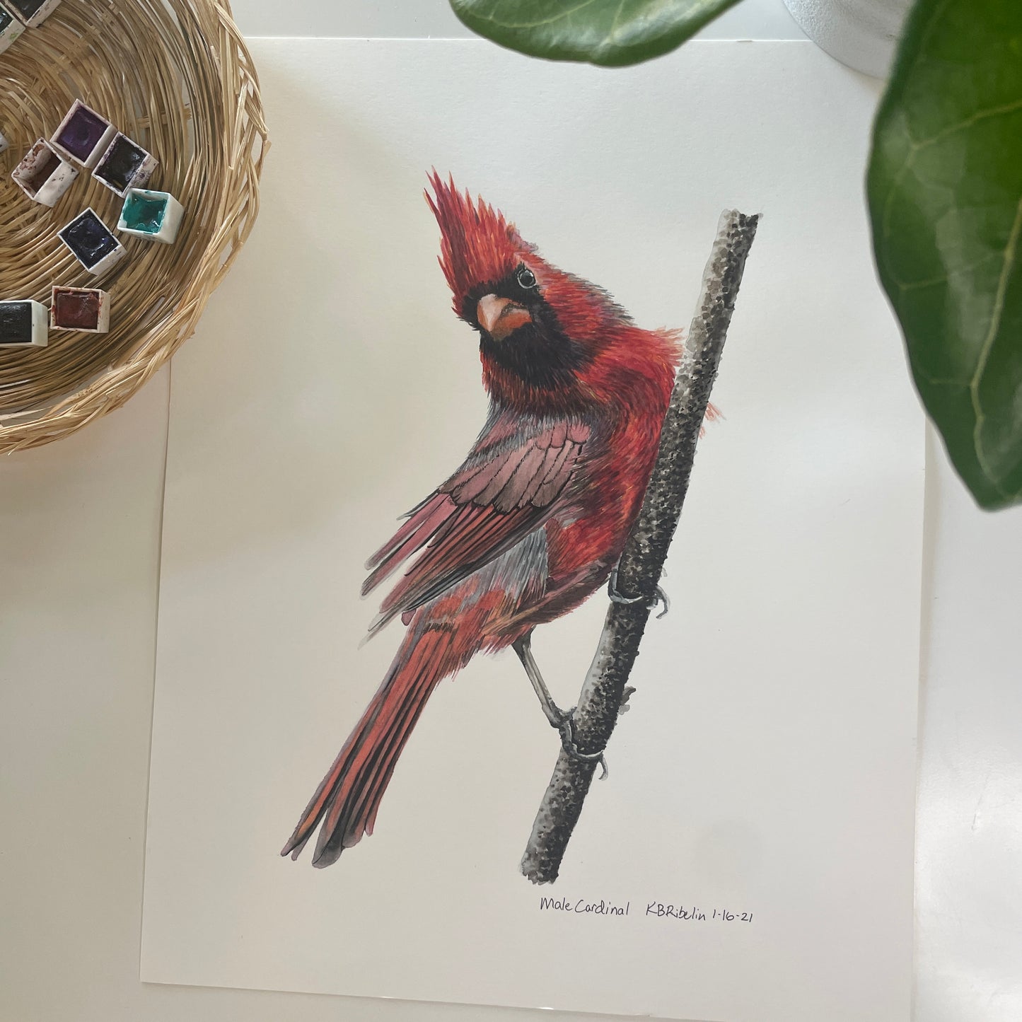 Cardinal - Male - Bird Art by KB - Original 2