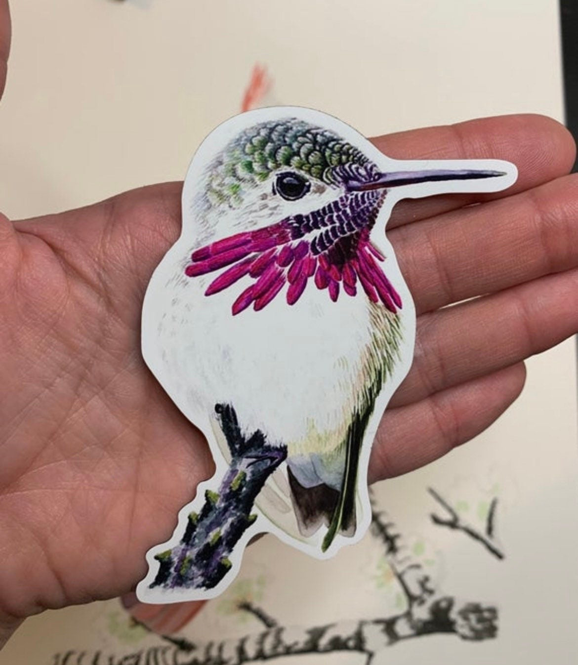 Calliope Hummer - Bird Art by KB - Magnet