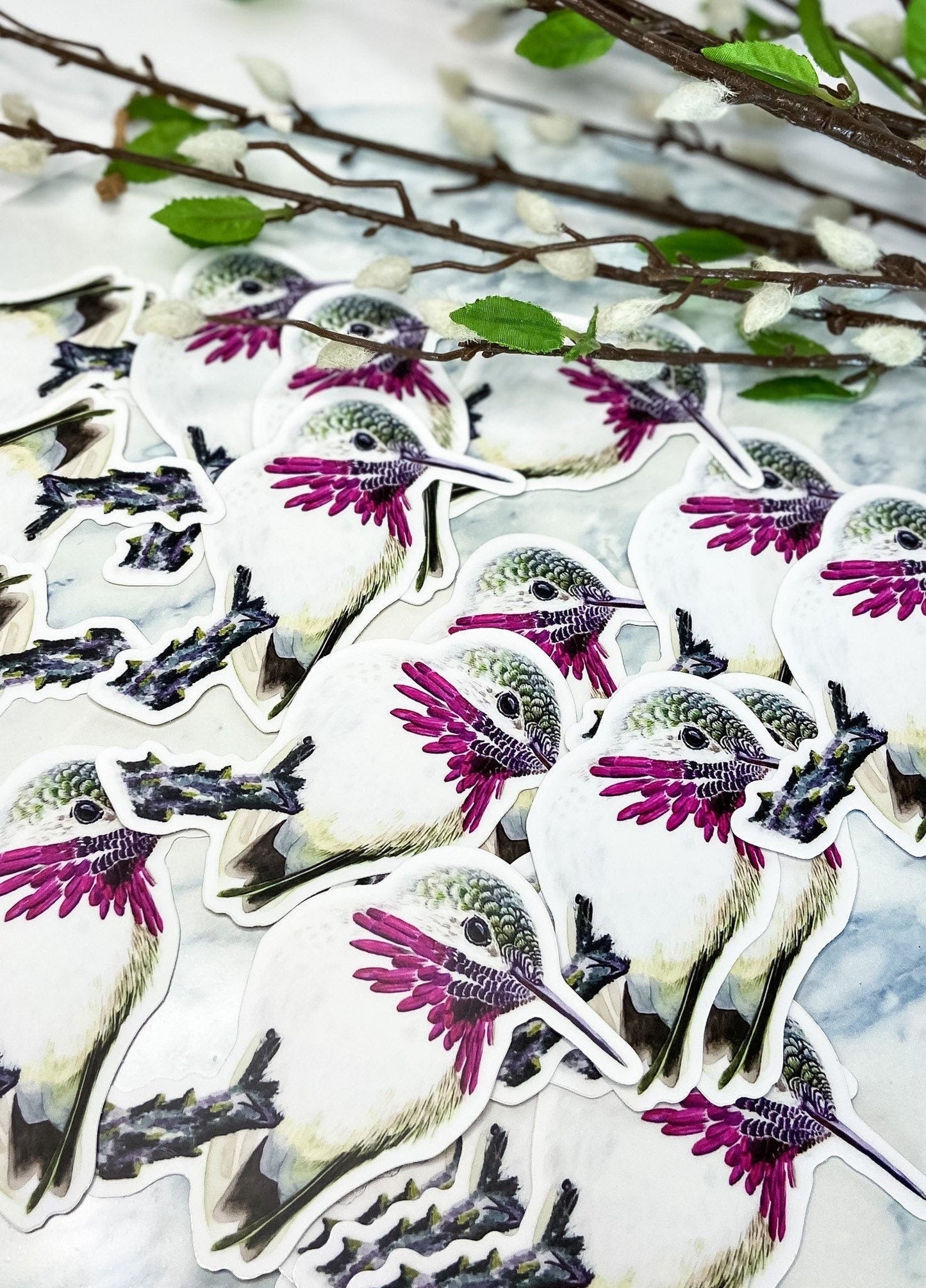 Calliope Hummer - Bird Art by KB - Sticker
