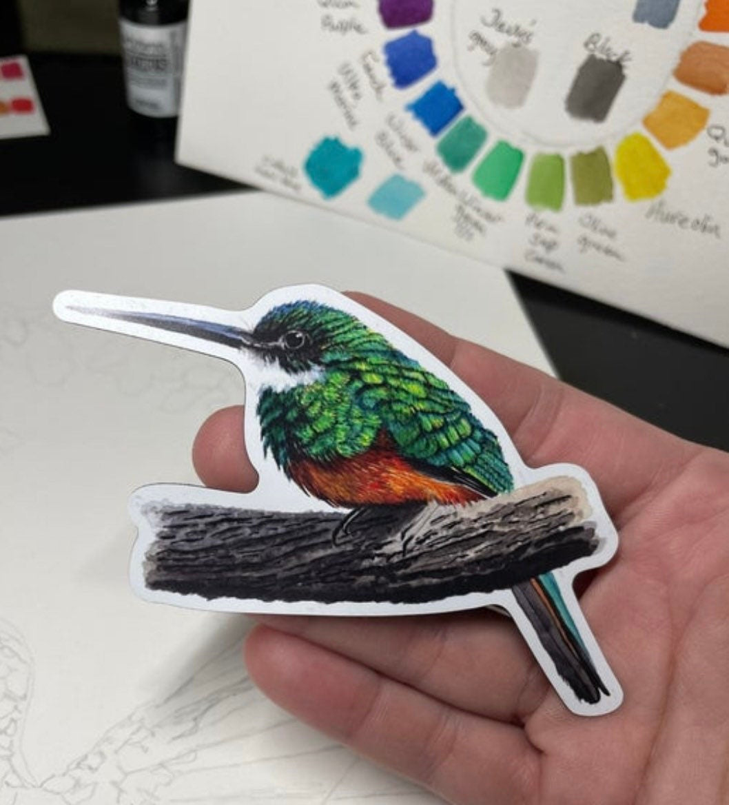 Rufous-tailed Jacamar - Bird Art by KB - Magnet