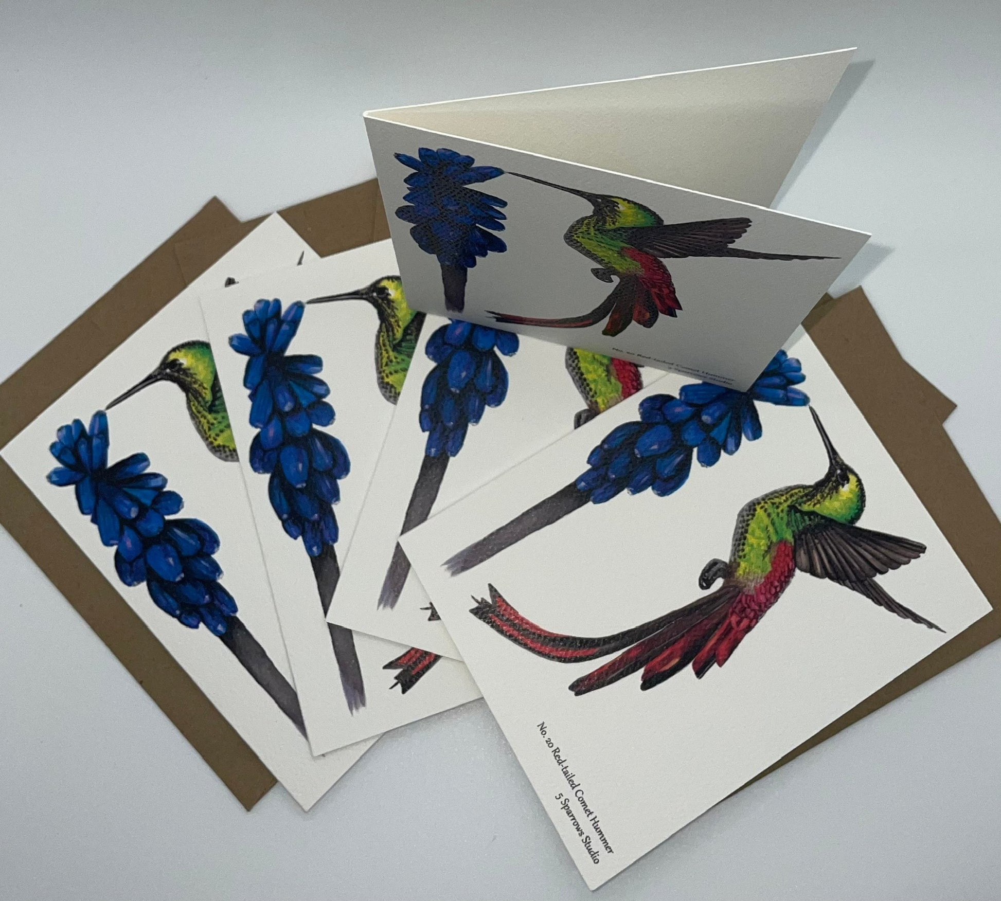 Red-tailed Comet - Bird Art by KB - Notecard Set