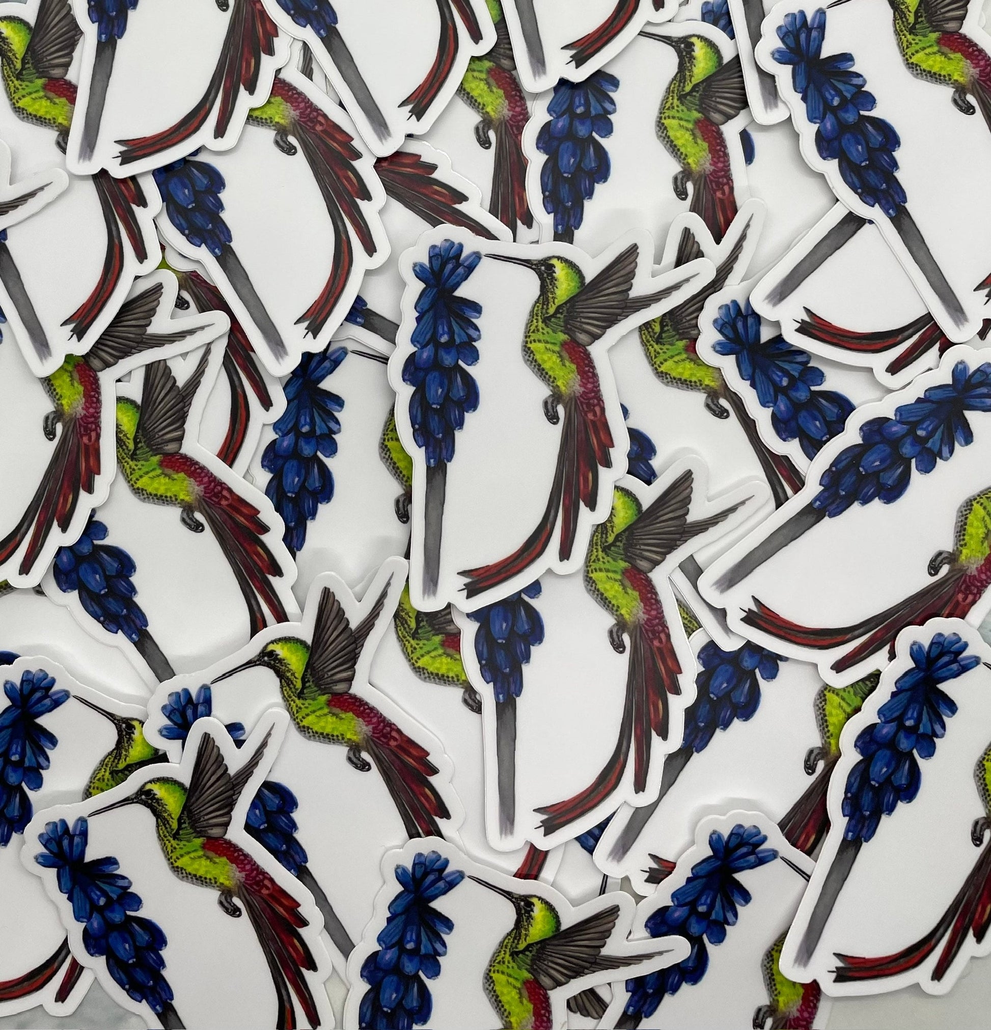 Red-tailed Comet - Bird Art by KB - Sticker