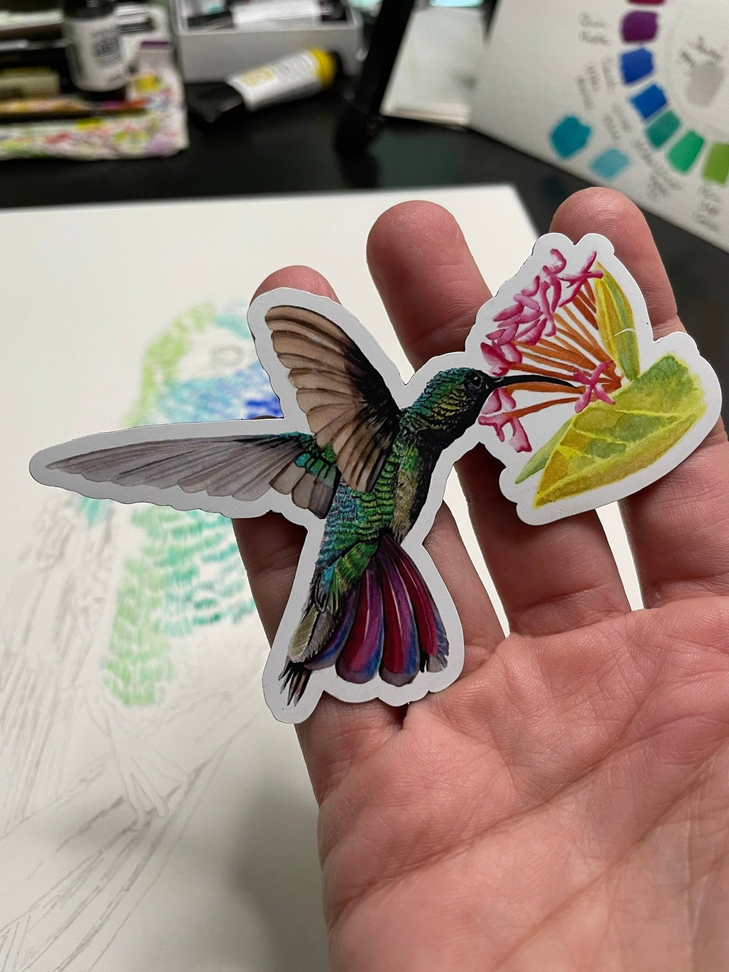 Green-Breasted Mango - Bird Art by KB - Magnet