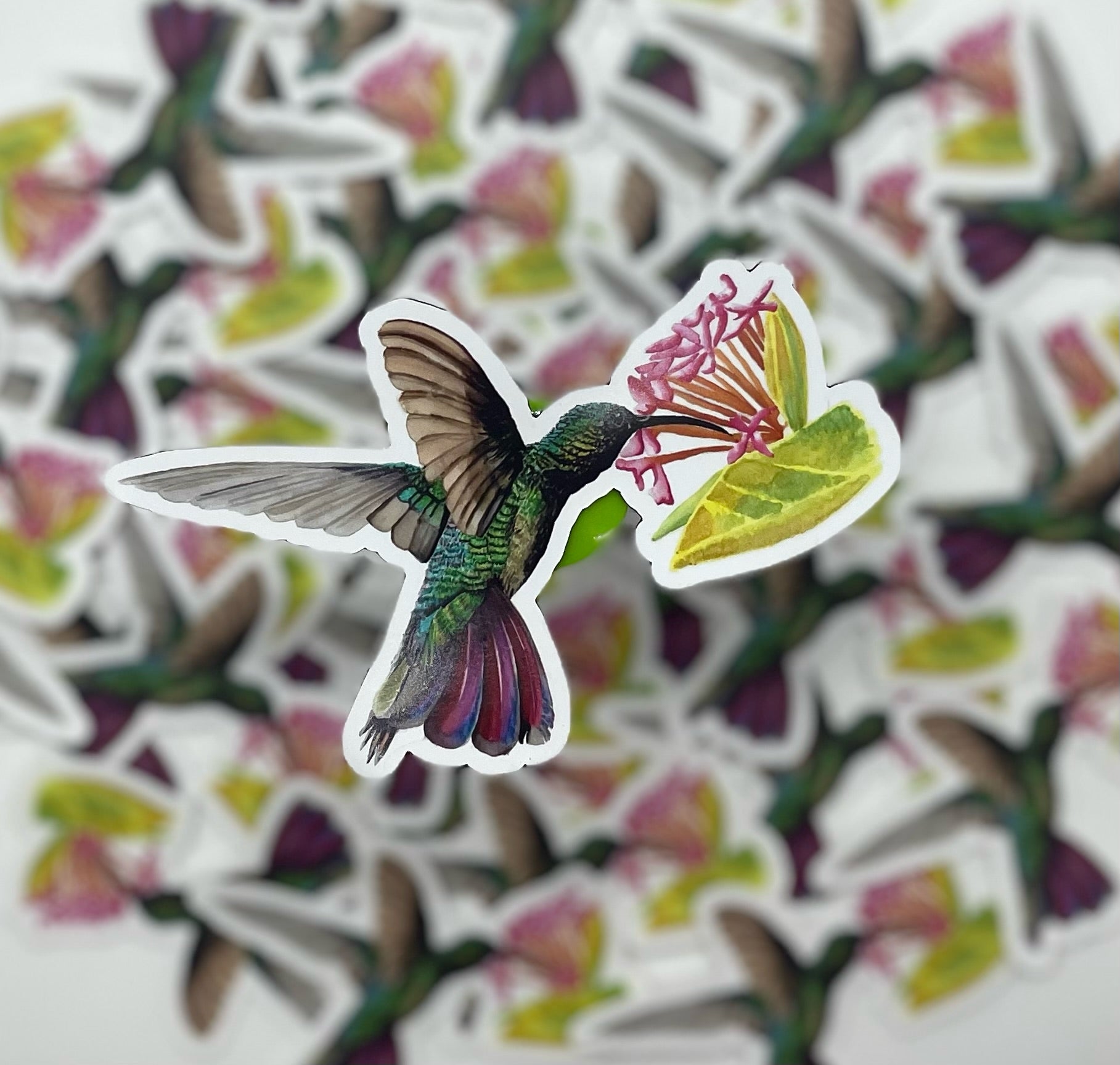 Green-Breasted Mango - Bird Art by KB - Sticker