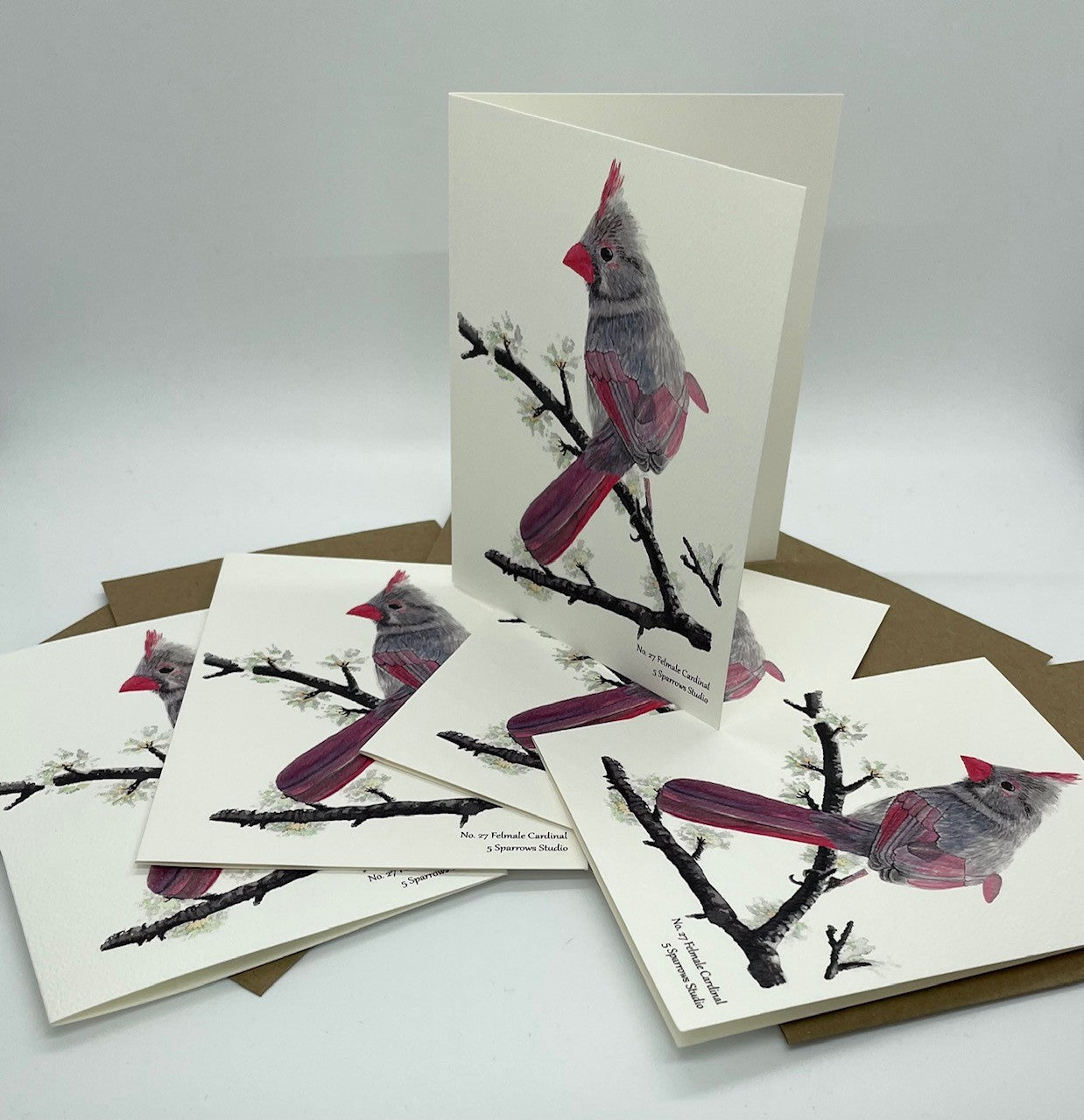 Cardinal (Female) - Bird Art by KB - Notecard Set