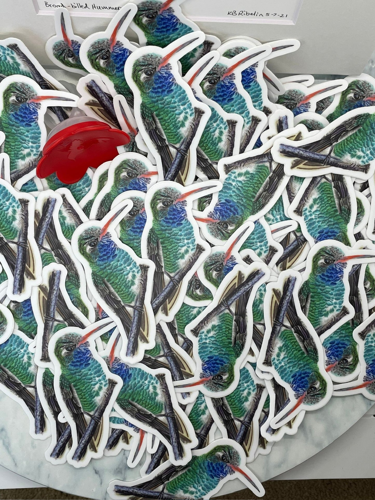 Broad-billed Hummingbird - Bird Art by KB - Sticker