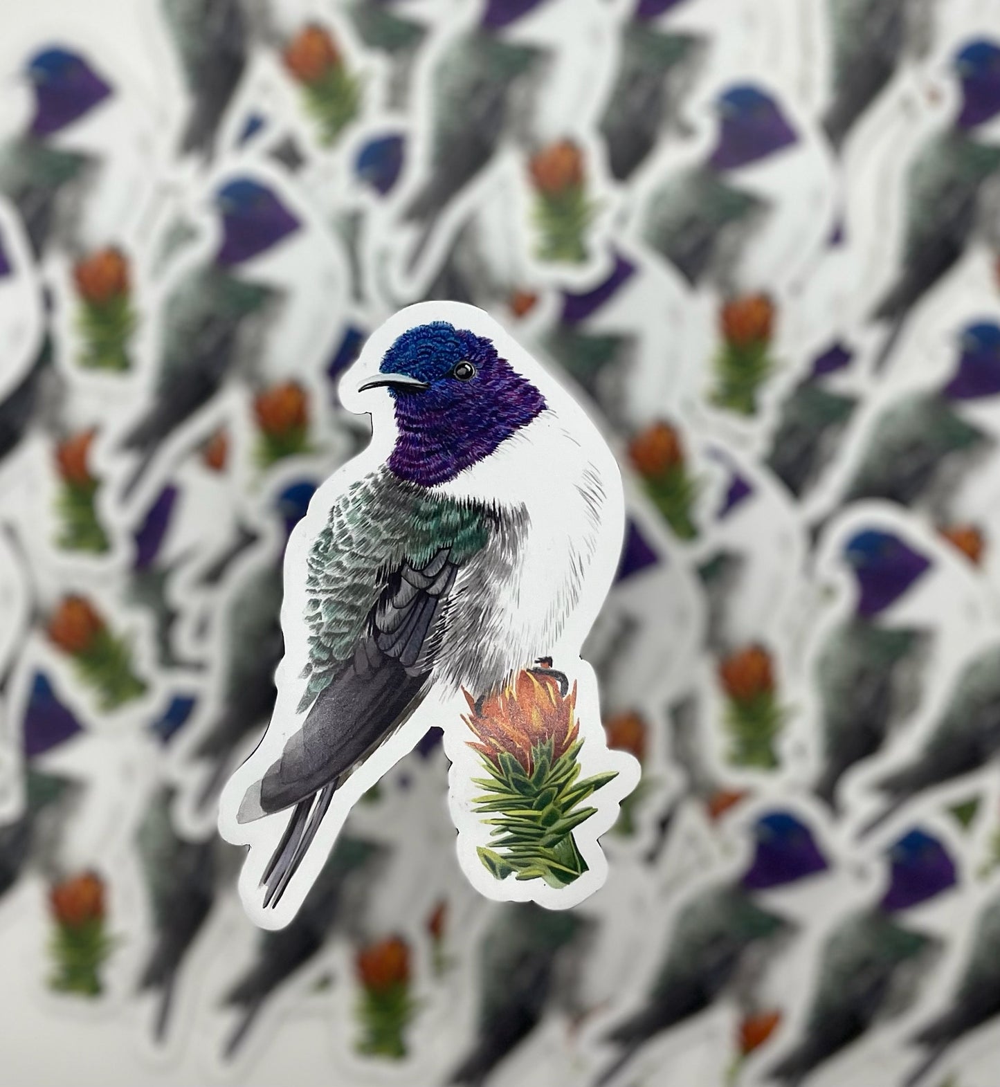 Ecuadorian Hillstar - Bird Art by KB - Magnet