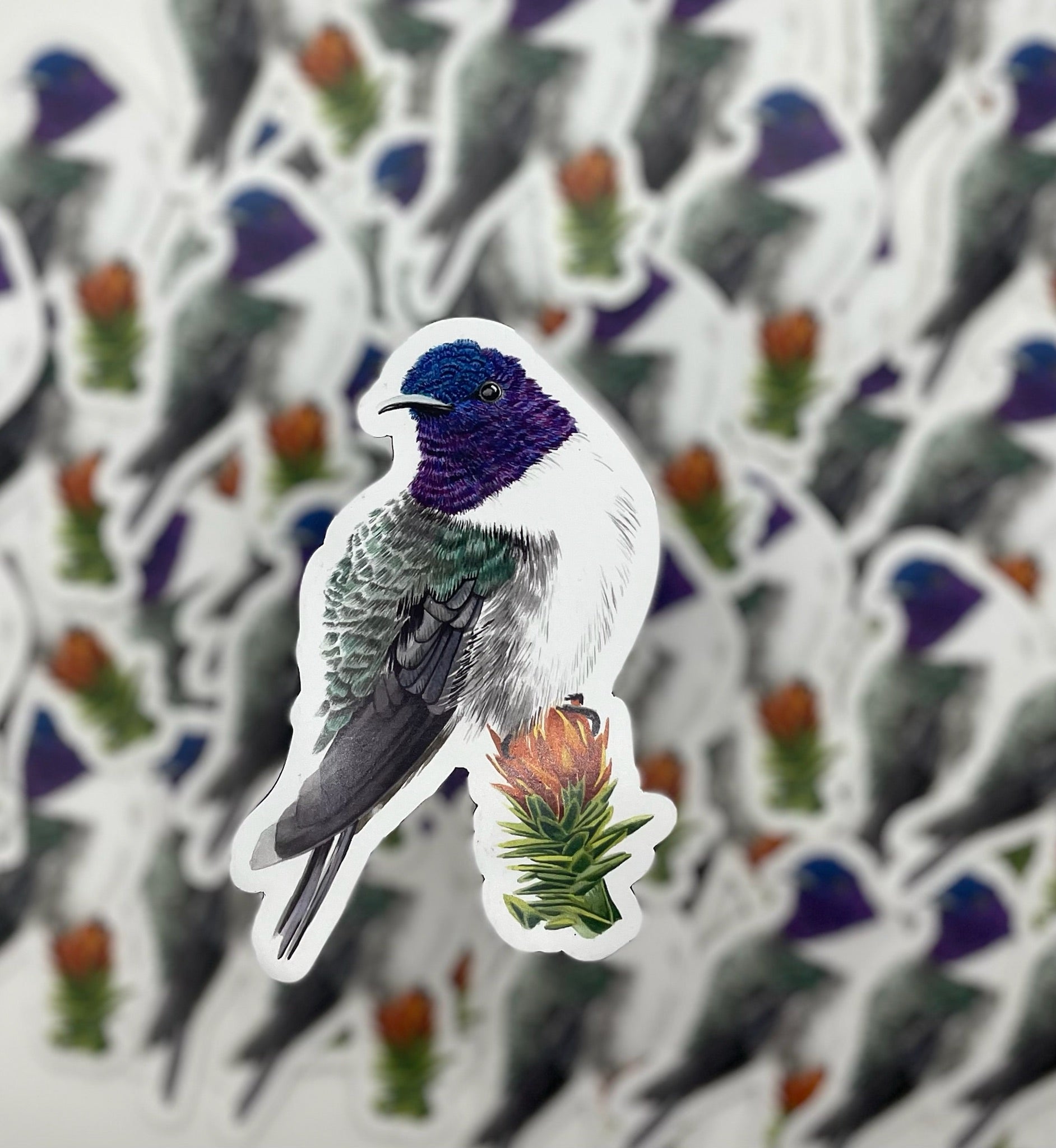 Ecuadorian Hillstar - Bird Art by KB - Magnet