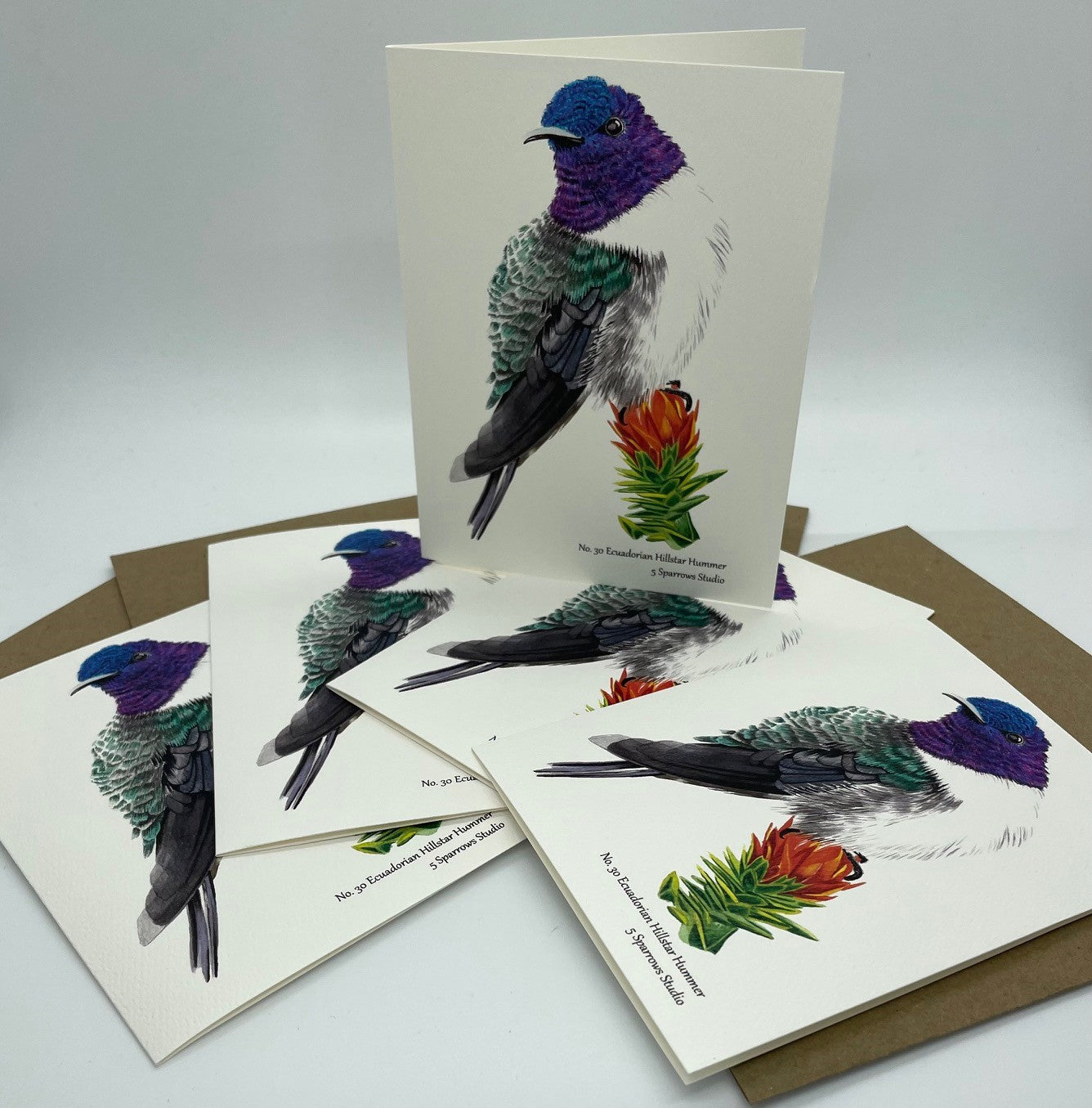 Ecuadorian Hillstar - Bird Art by KB - Notecard Set