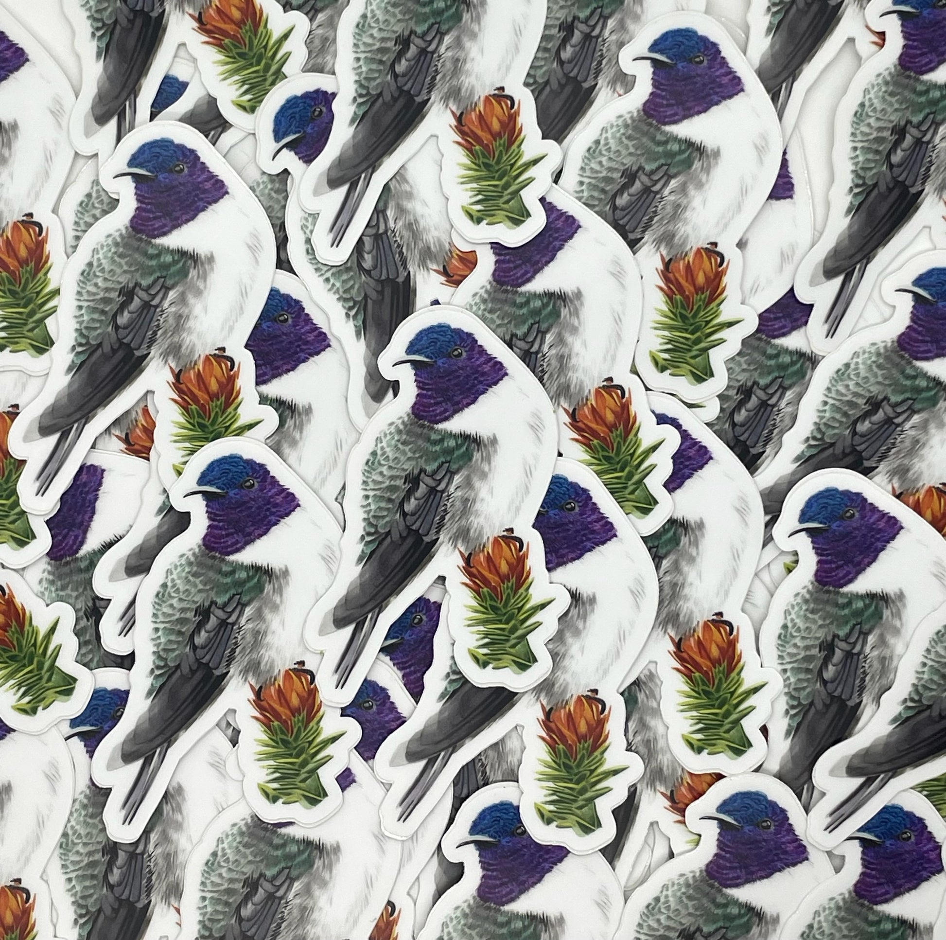 Ecuadorian Hillstar - Bird Art by KB - Sticker