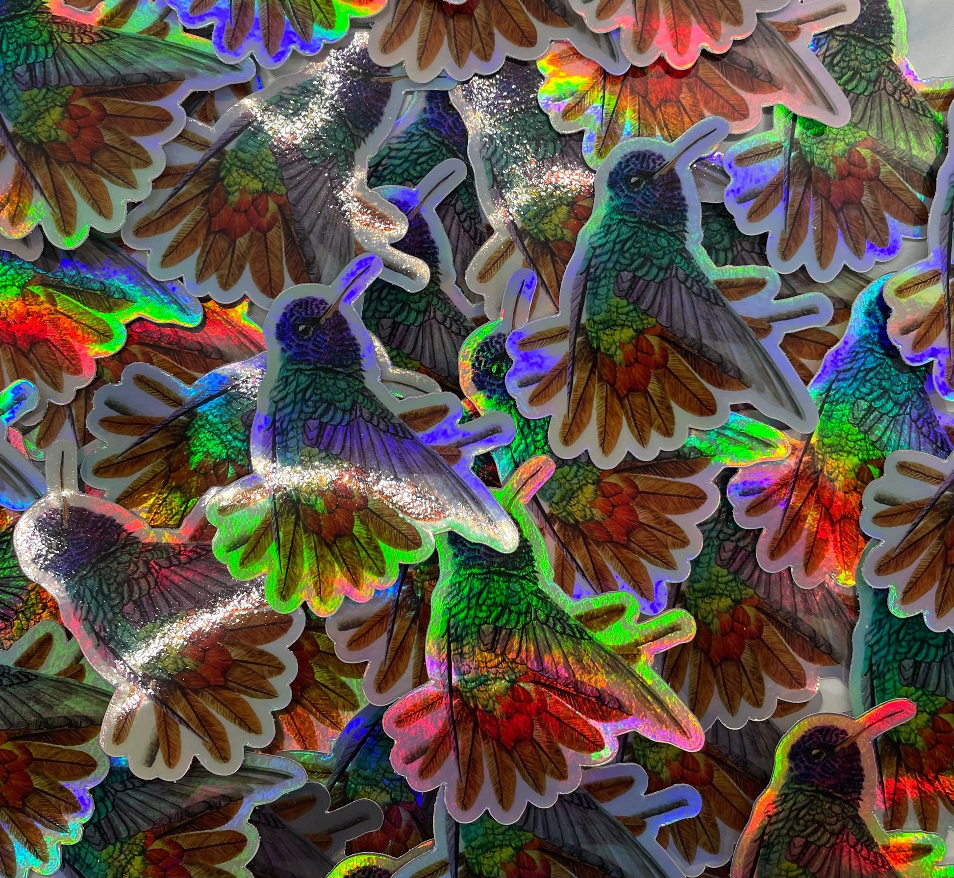 Golden-Tailed Sapphire - Bird Art by KB - Holographic Sticker
