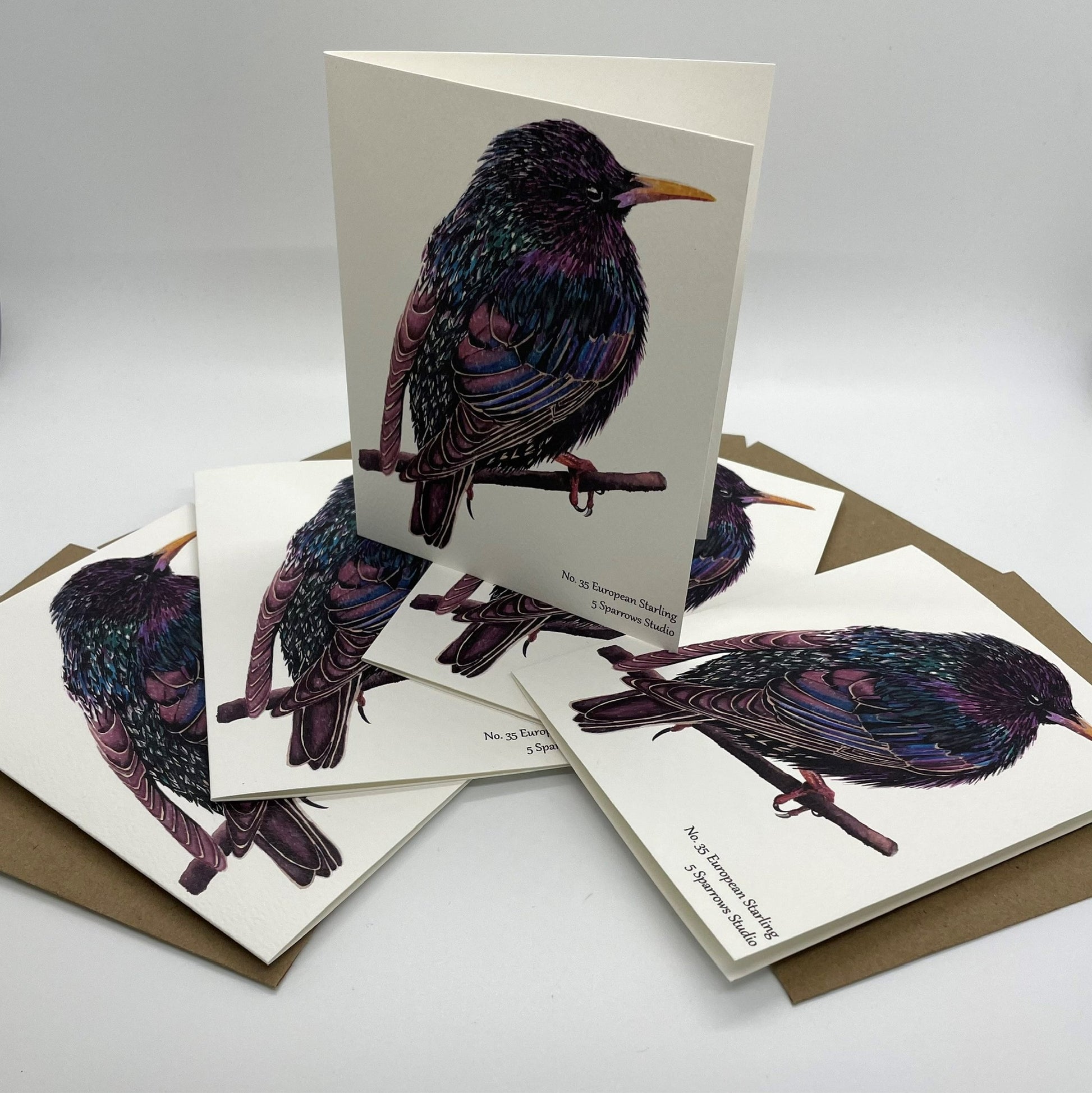 European Starling - Bird Art by KB - Notecard Set