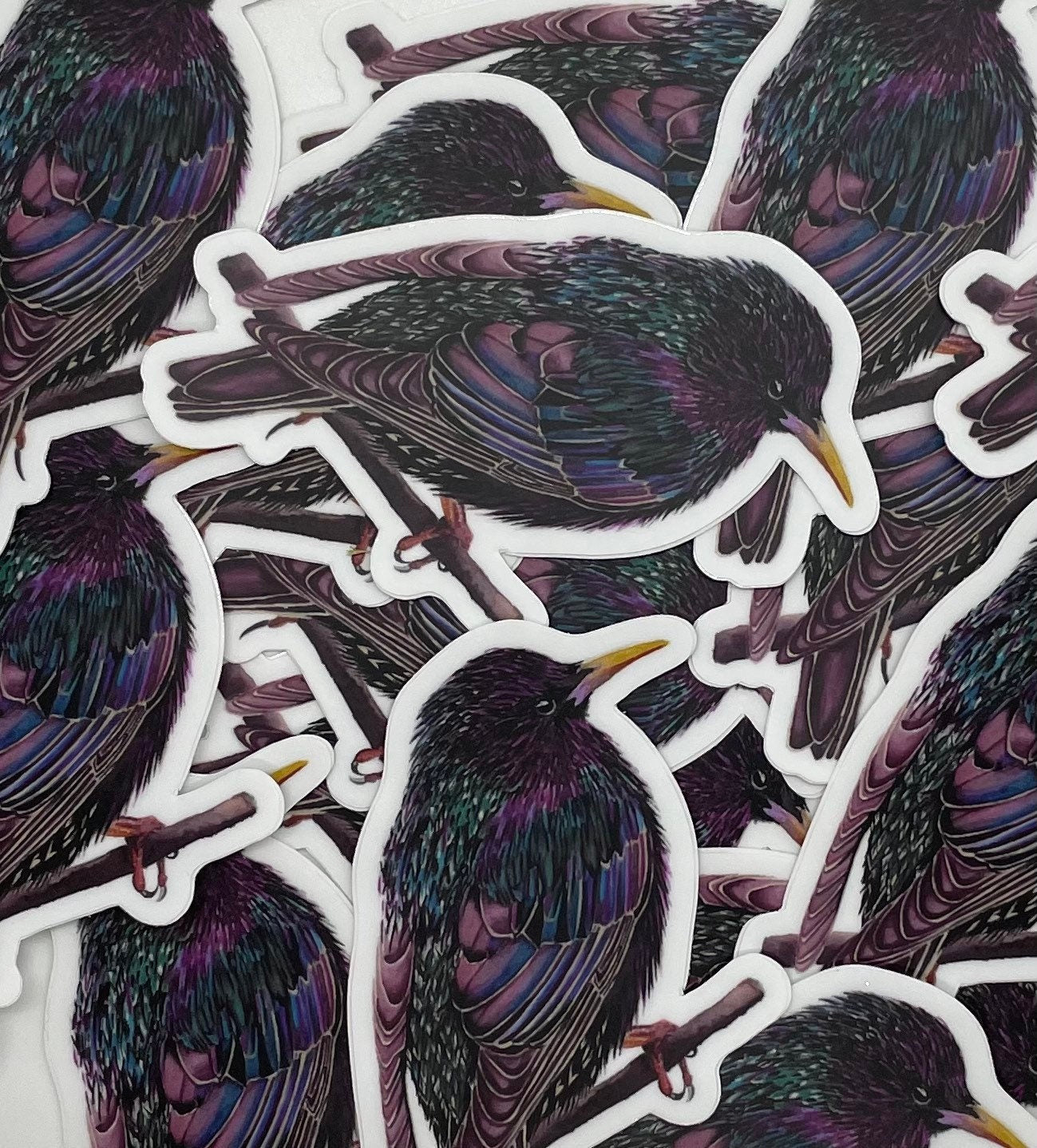 European Starling - Bird Art by KB - Sticker