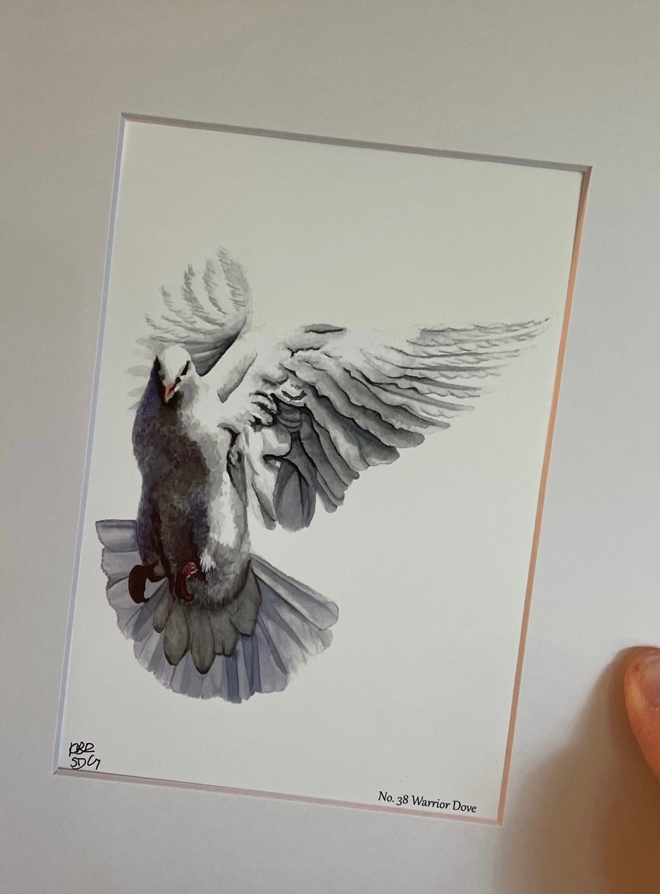 Dove Warrior - Bird Art by KB - Giclee Print with White Mat