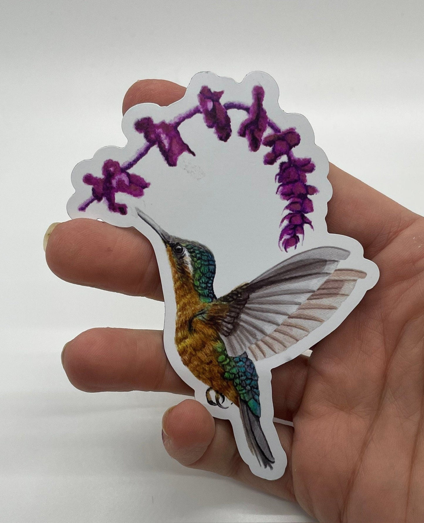 White-throated Mountaingem Hummingbird - Bird Art by KB - Magnet