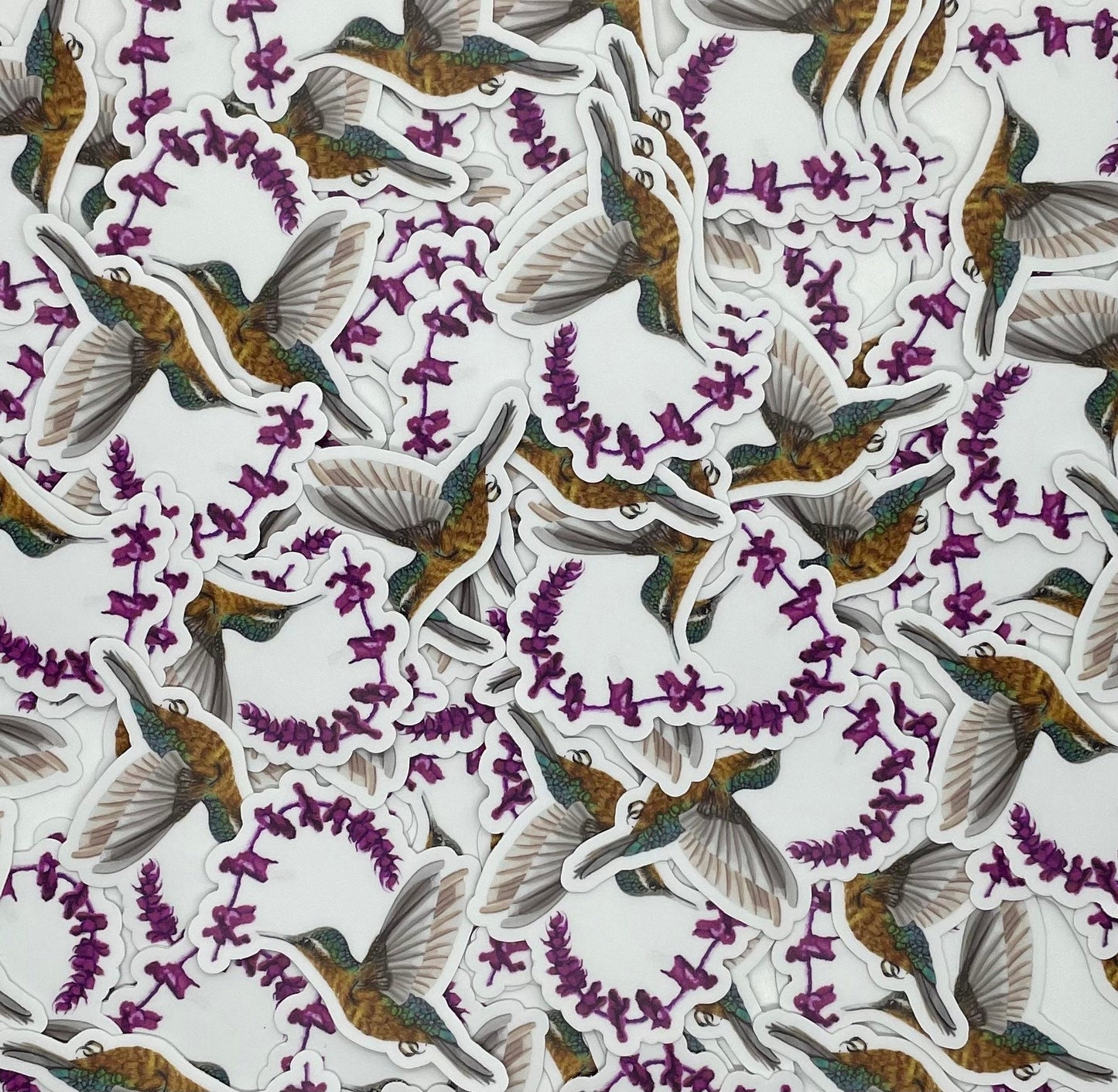 White-throated Mountaingem Hummingbird - Bird Art by KB - Sticker