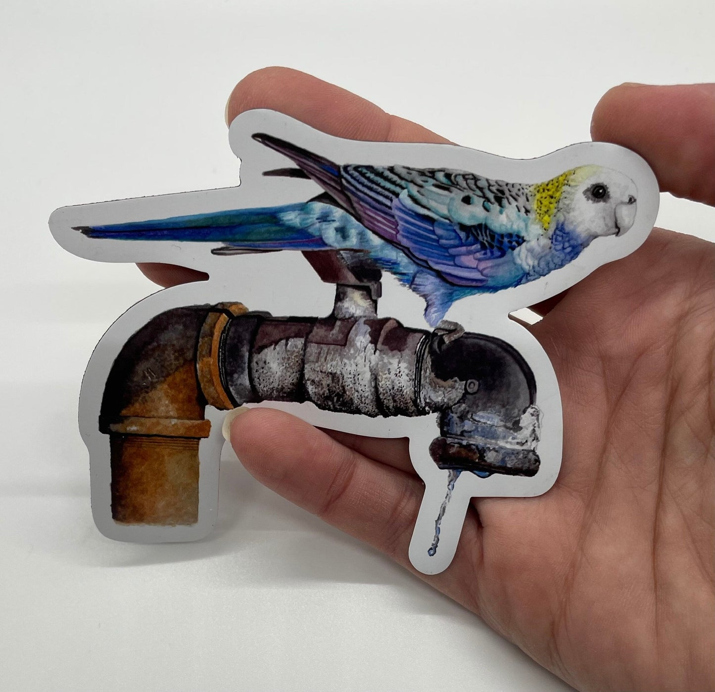 Pale-Headed Rosella - Bird Art by KB - Magnet