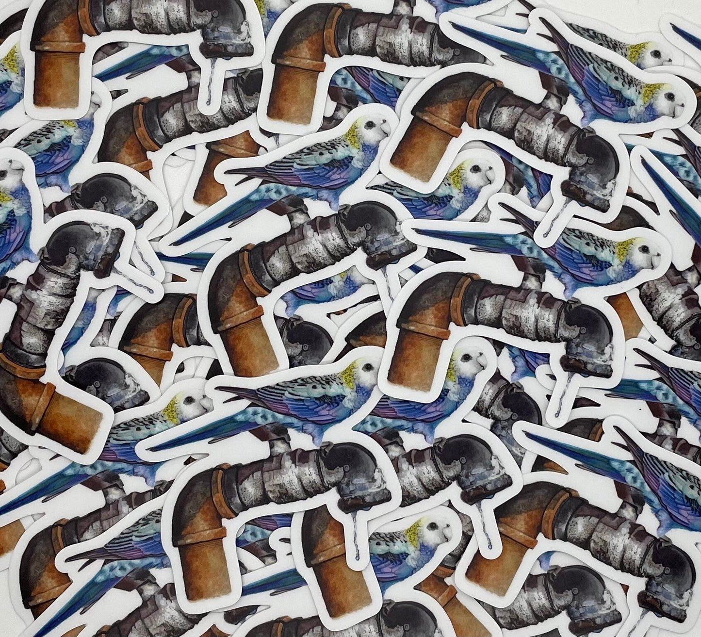 Pale-Headed Rosella - Bird Art by KB - Sticker
