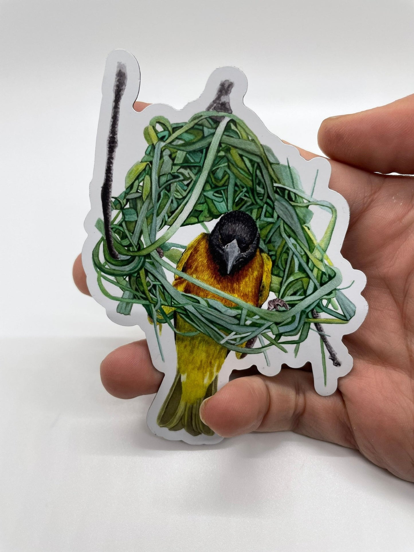 Village Weaver - Bird Art by KB - Magnet