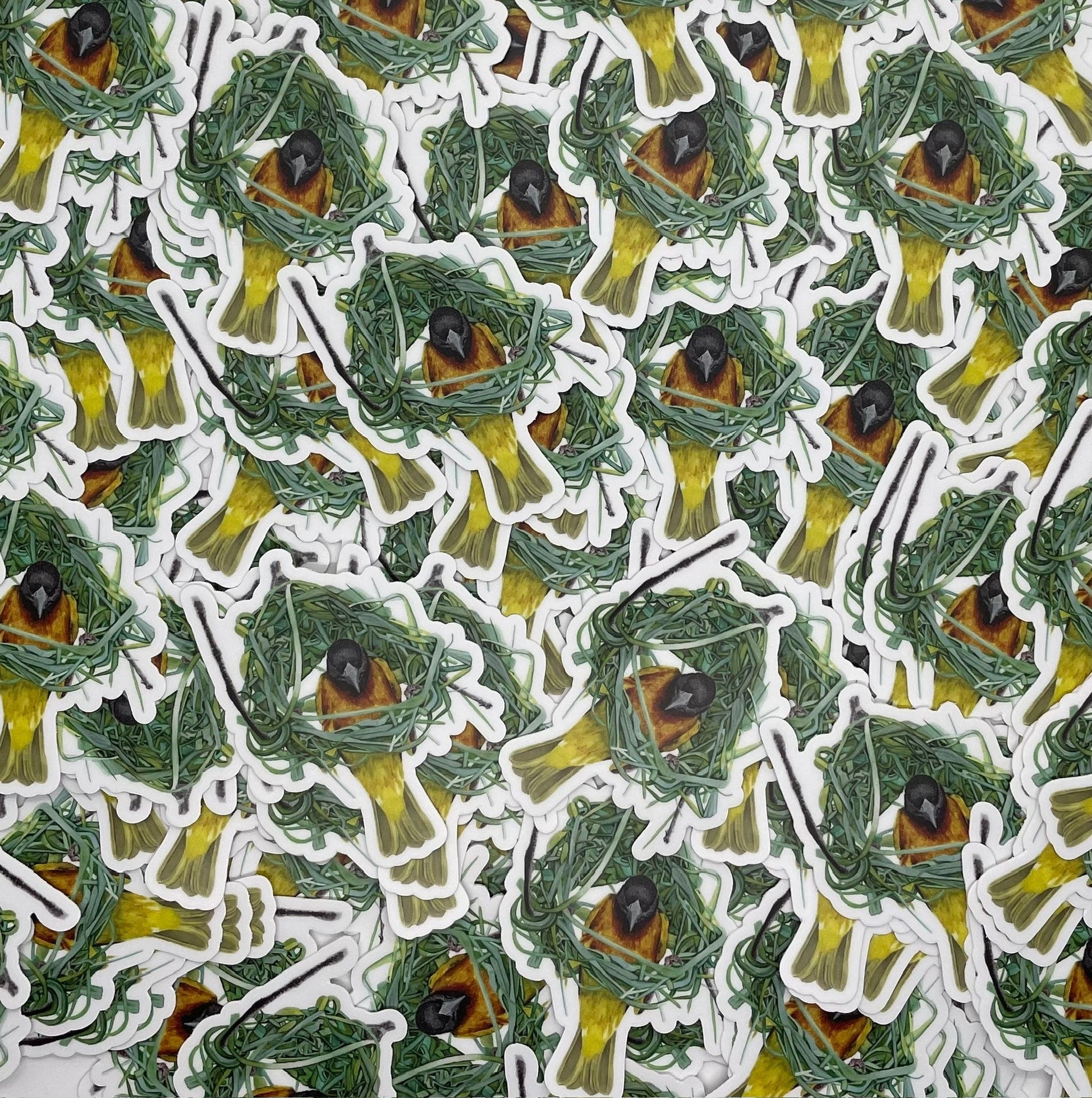 Village Weaver - Bird Art by KB - Sticker