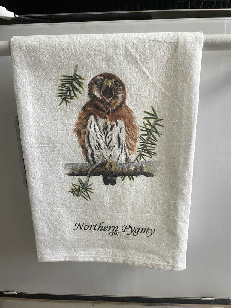 Northern Pygmy Owl - BIrd Art by KB - Towel