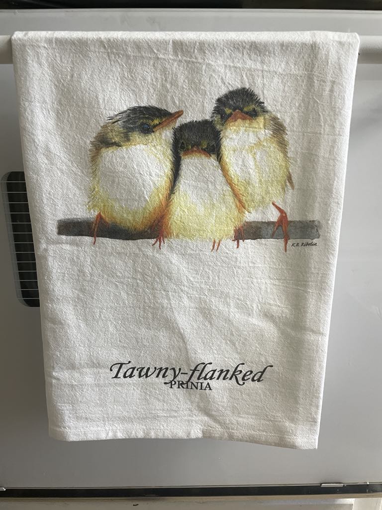 Tawny-flanked Prinia - Bird Art by KB - Towel
