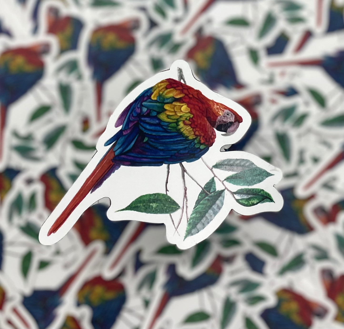 Scarlet Macaw - Bird Art by KB - Magnet