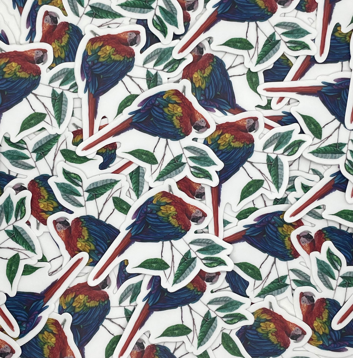 Scarlet Macaw - Bird Art by KB - Sticker