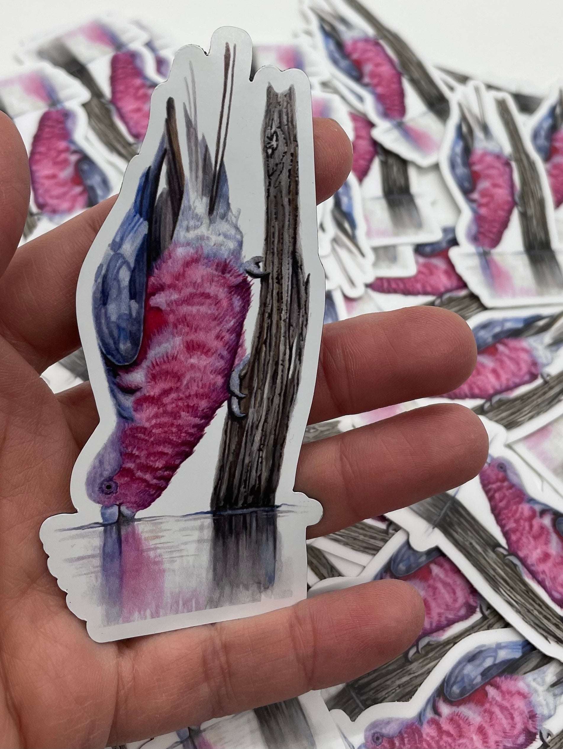 Galah - Bird Art by KB - Magnet