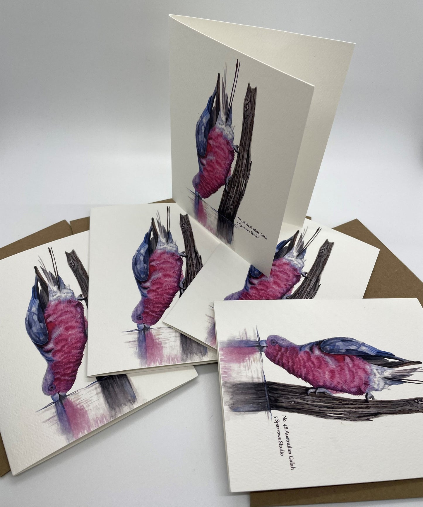 Galah - Bird Art by KB - Notecard Set
