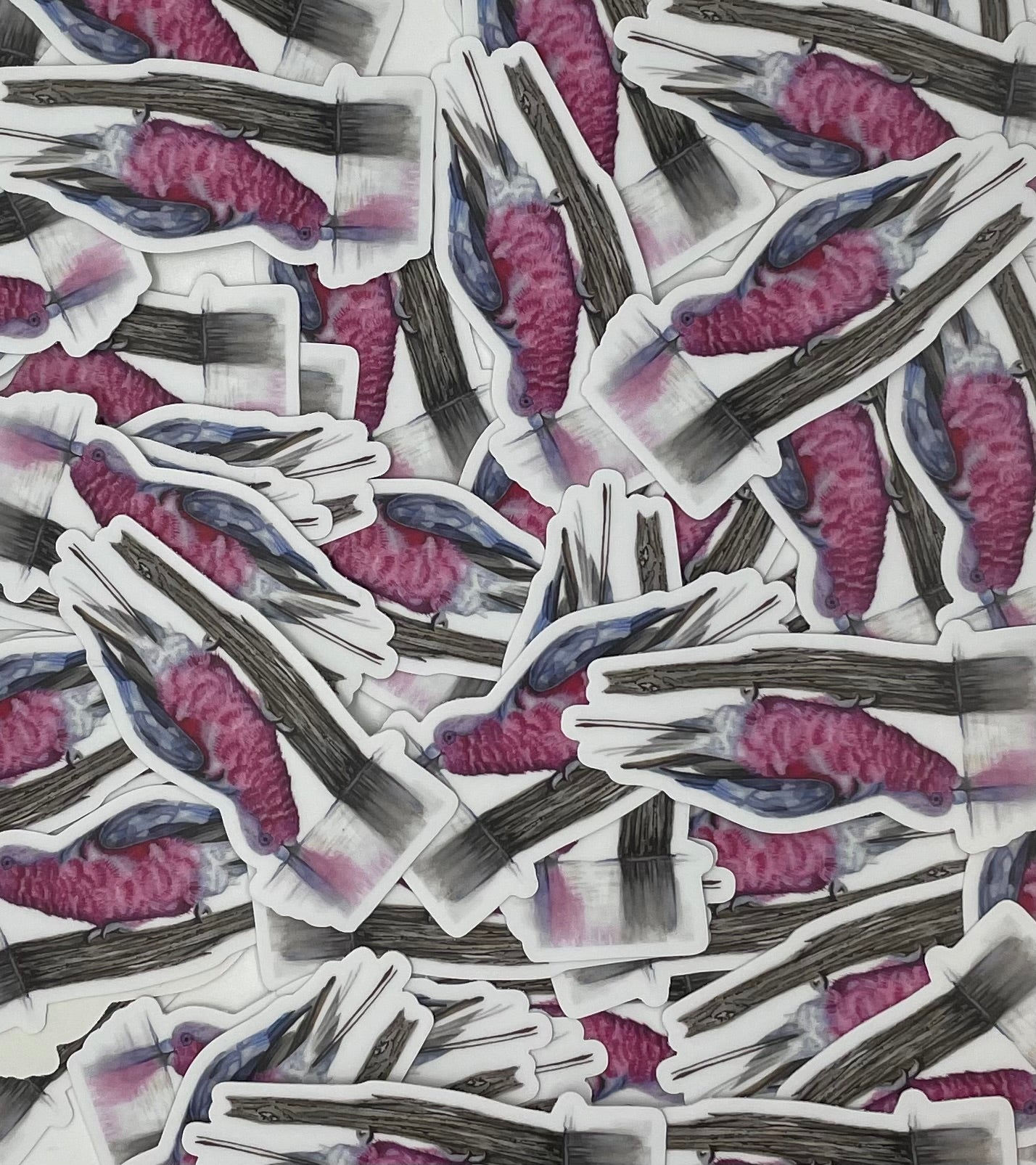 Galah - Bird Art by KB - Sticker